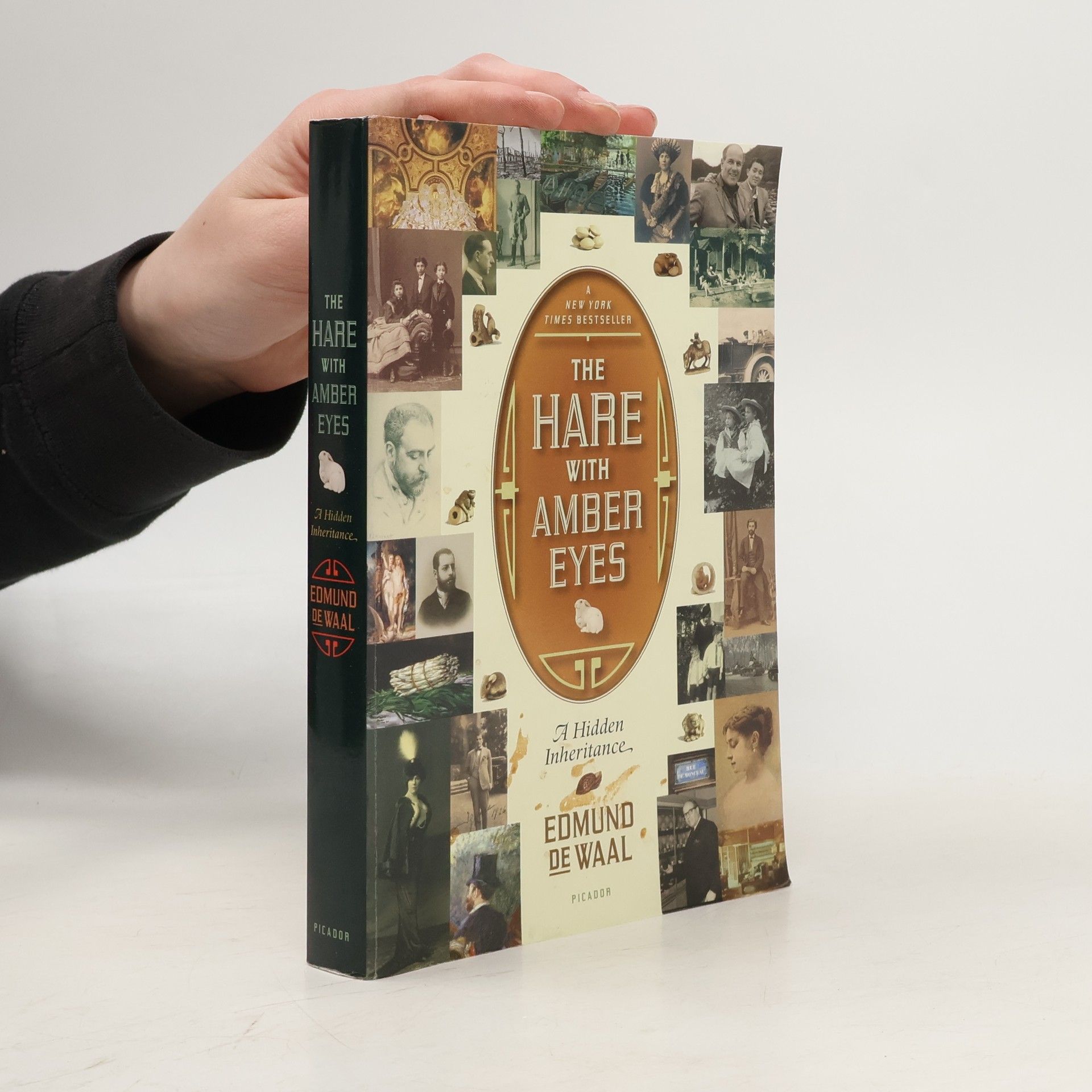 Edmund De Waal The hare with amber eyes : a hidden inheritance