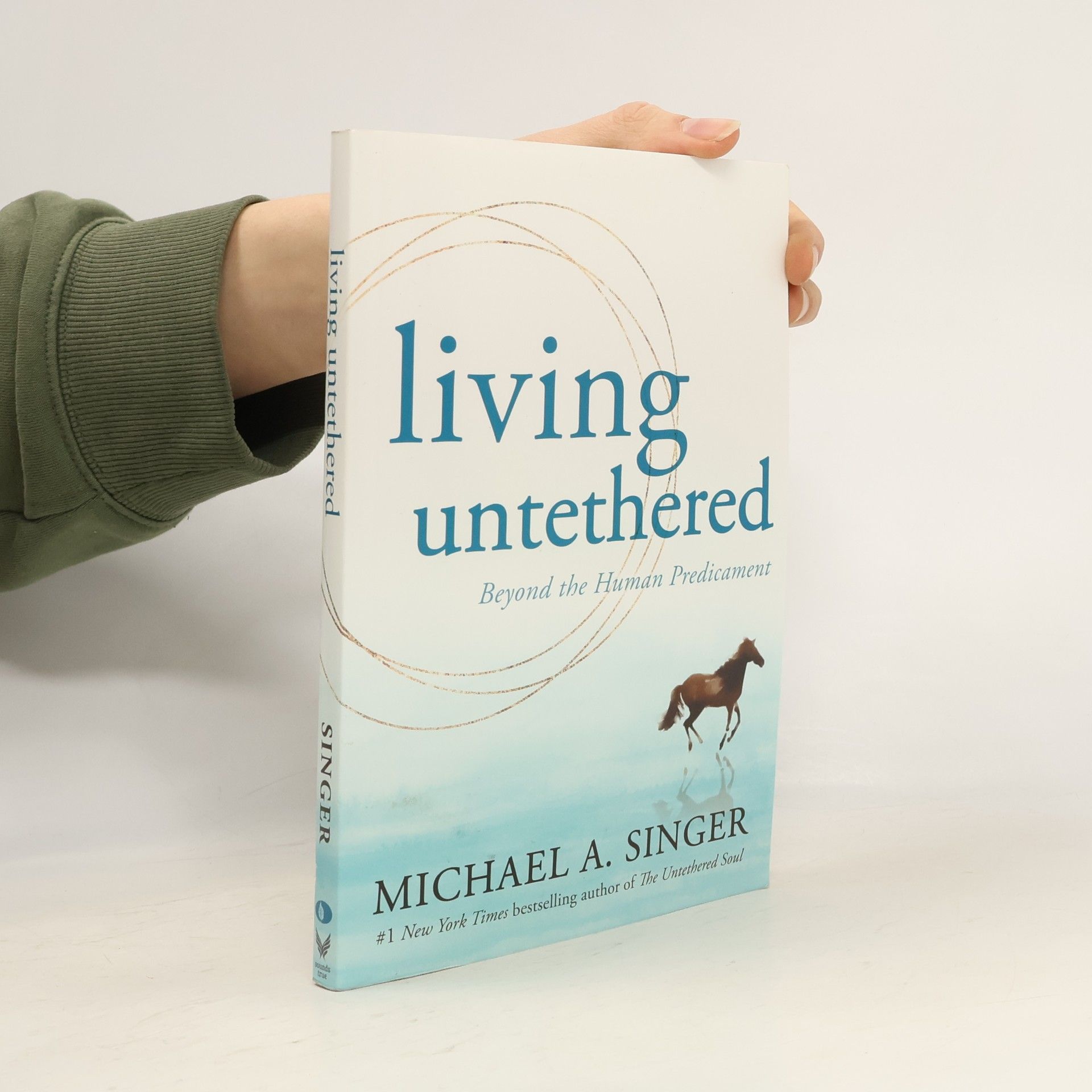 Michael A. Singer Living Untethered