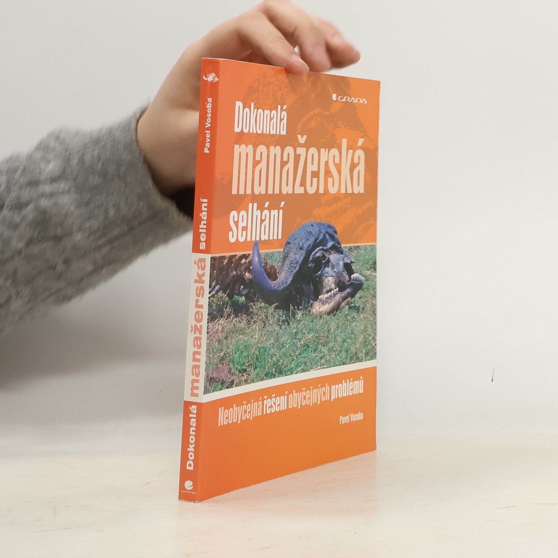 Dokonalá manažerská selhání : neobyčejná řešení obyčejných problémů