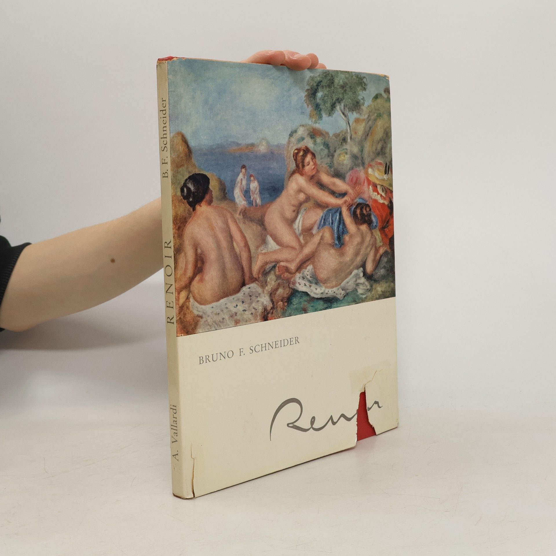 Bruno F. Schneider Renoir