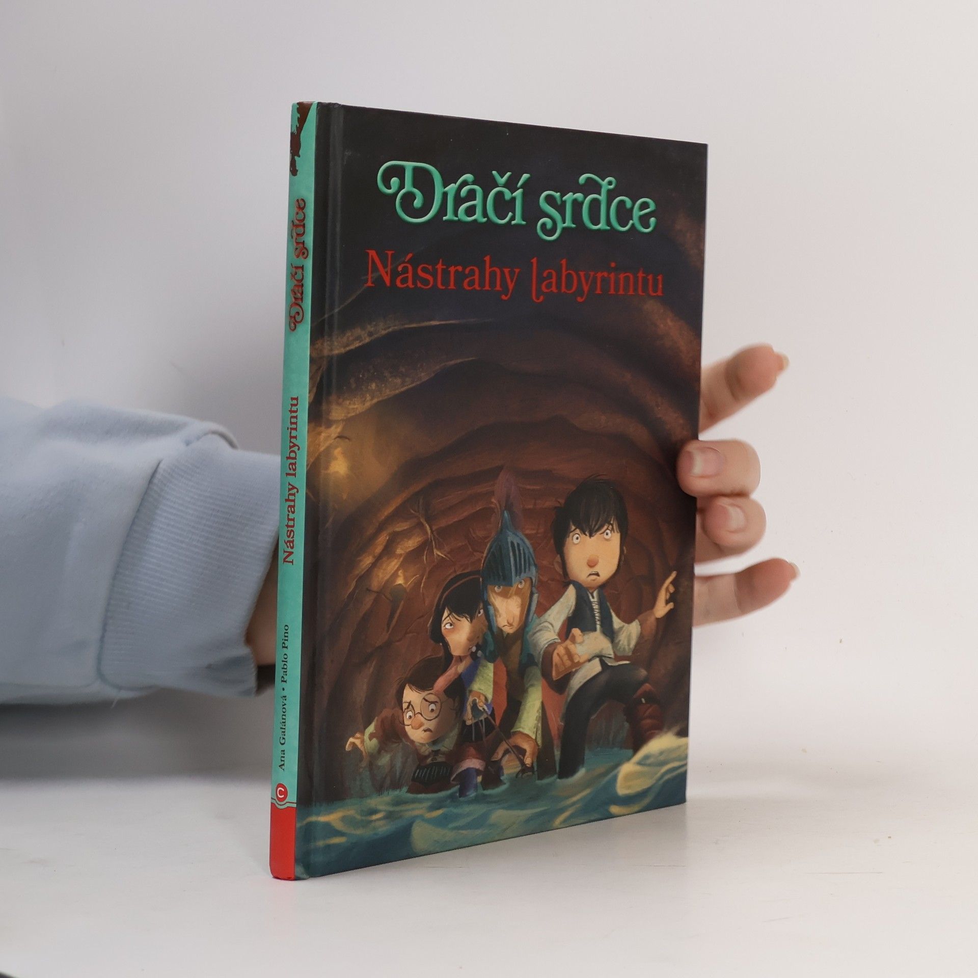 Ana Galán Nástrahy labyrintu