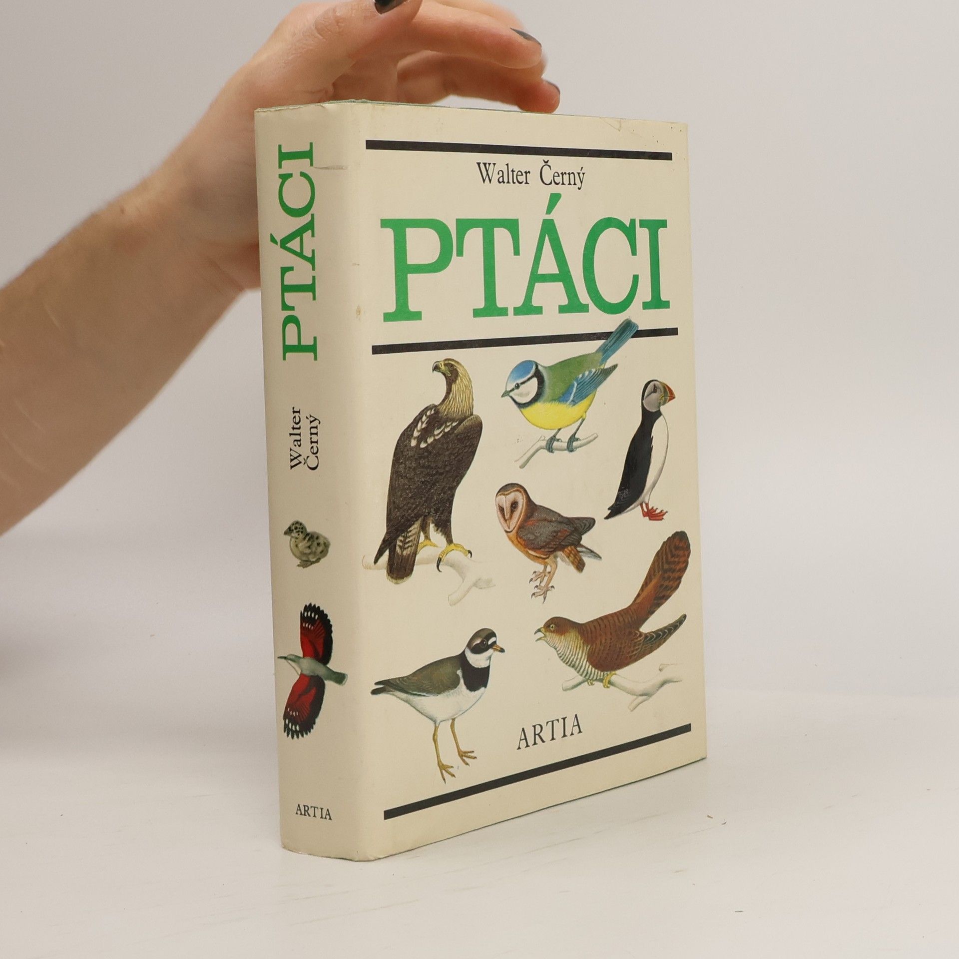 Walter Černý Ptáci