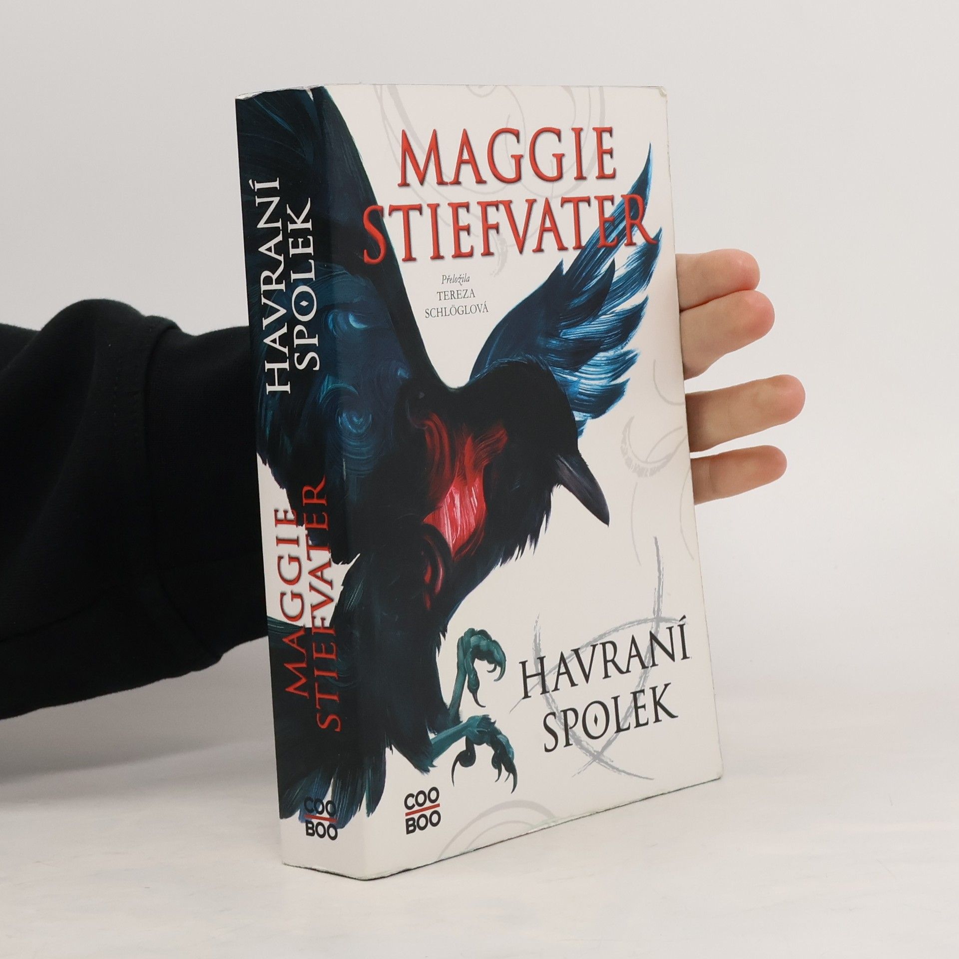 Maggie Stiefvater Havraní spolek