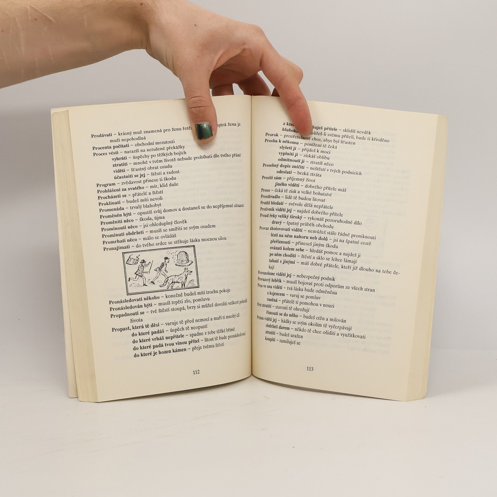 Collectif d'auteurs Snář pro vás