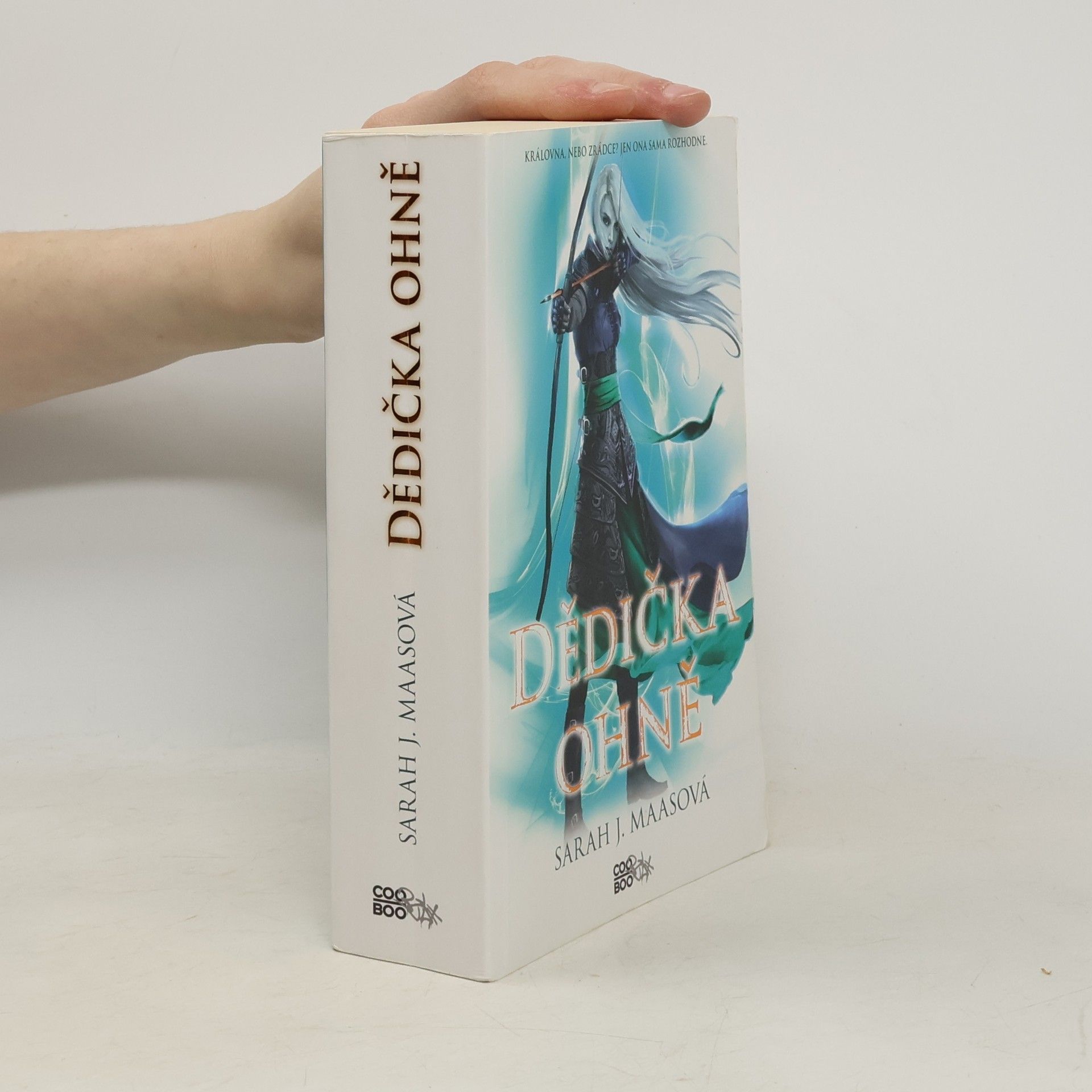 Sarah J. Maas Dědička ohně