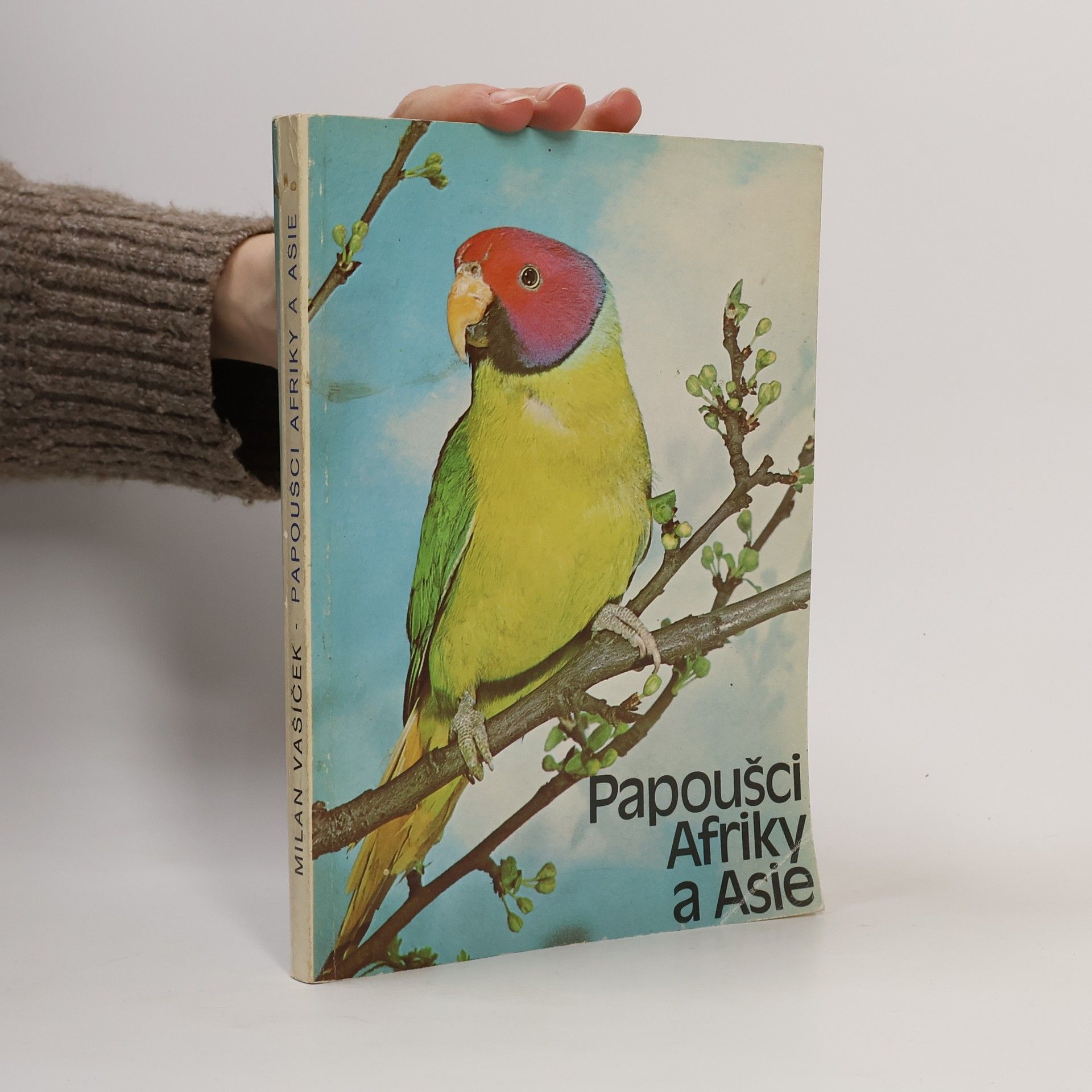 Papoušci Afriky a Asie