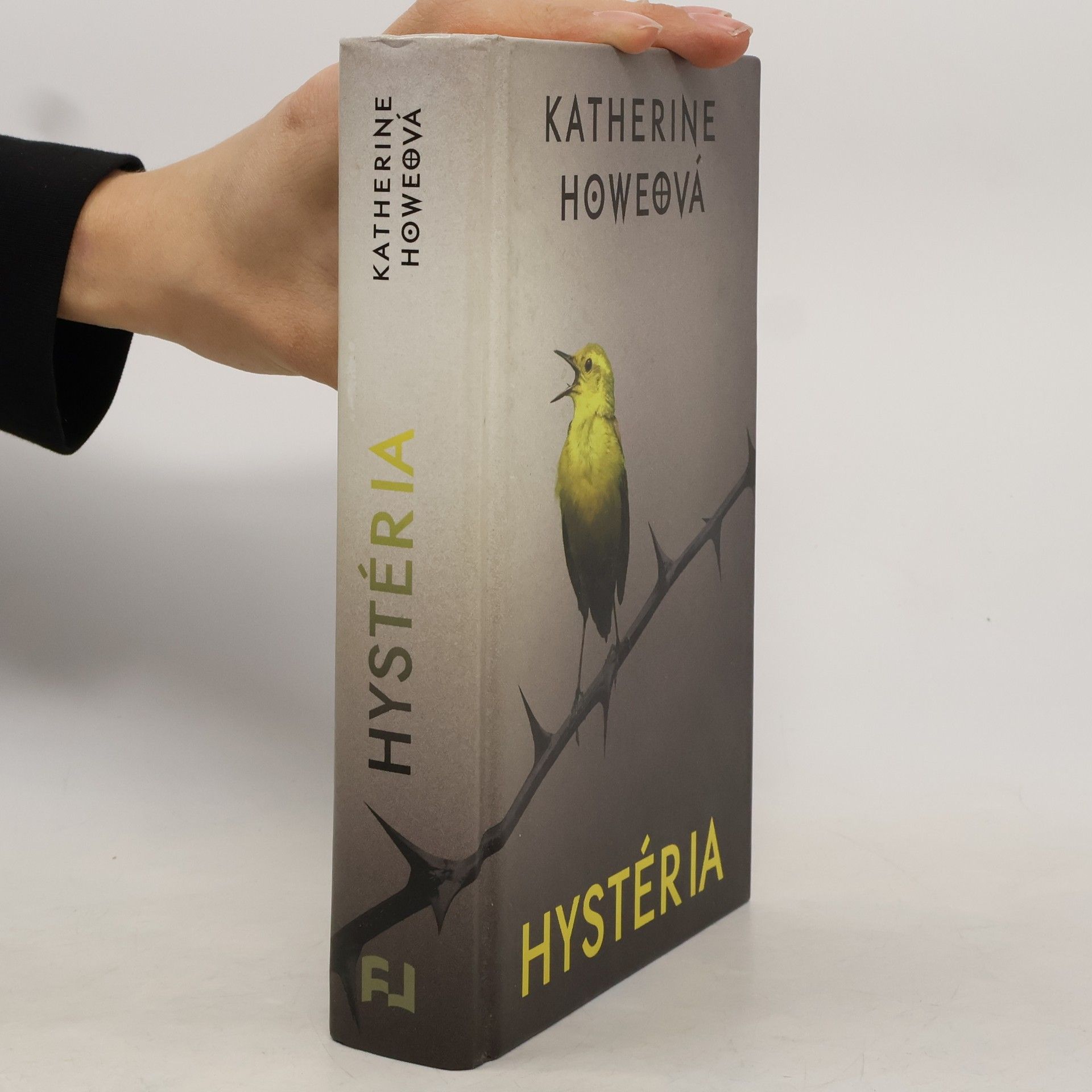 Katherine Howe Hystéria