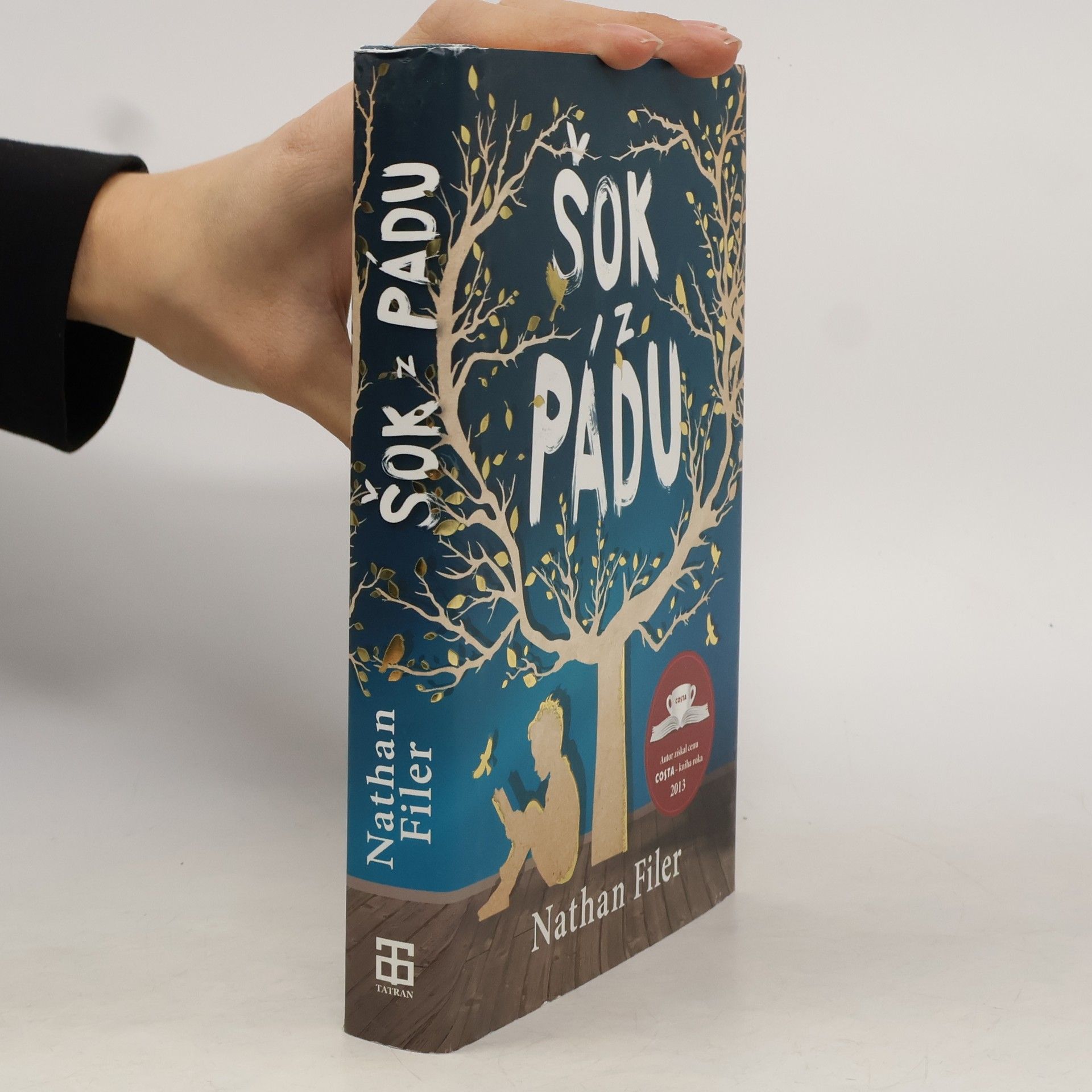 Nathan Filer Šok z pádu