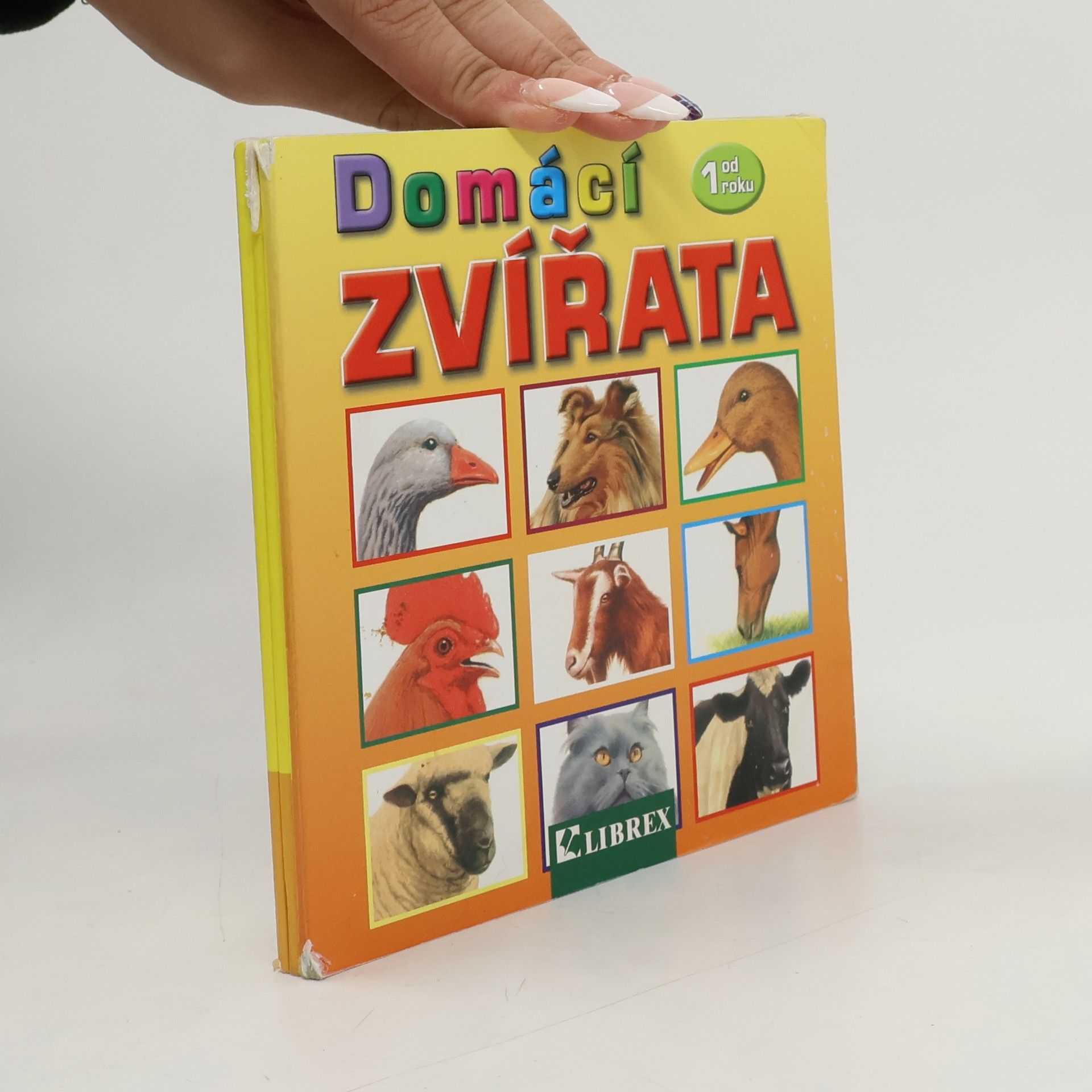 Collectif d'auteurs Domácí zvířata