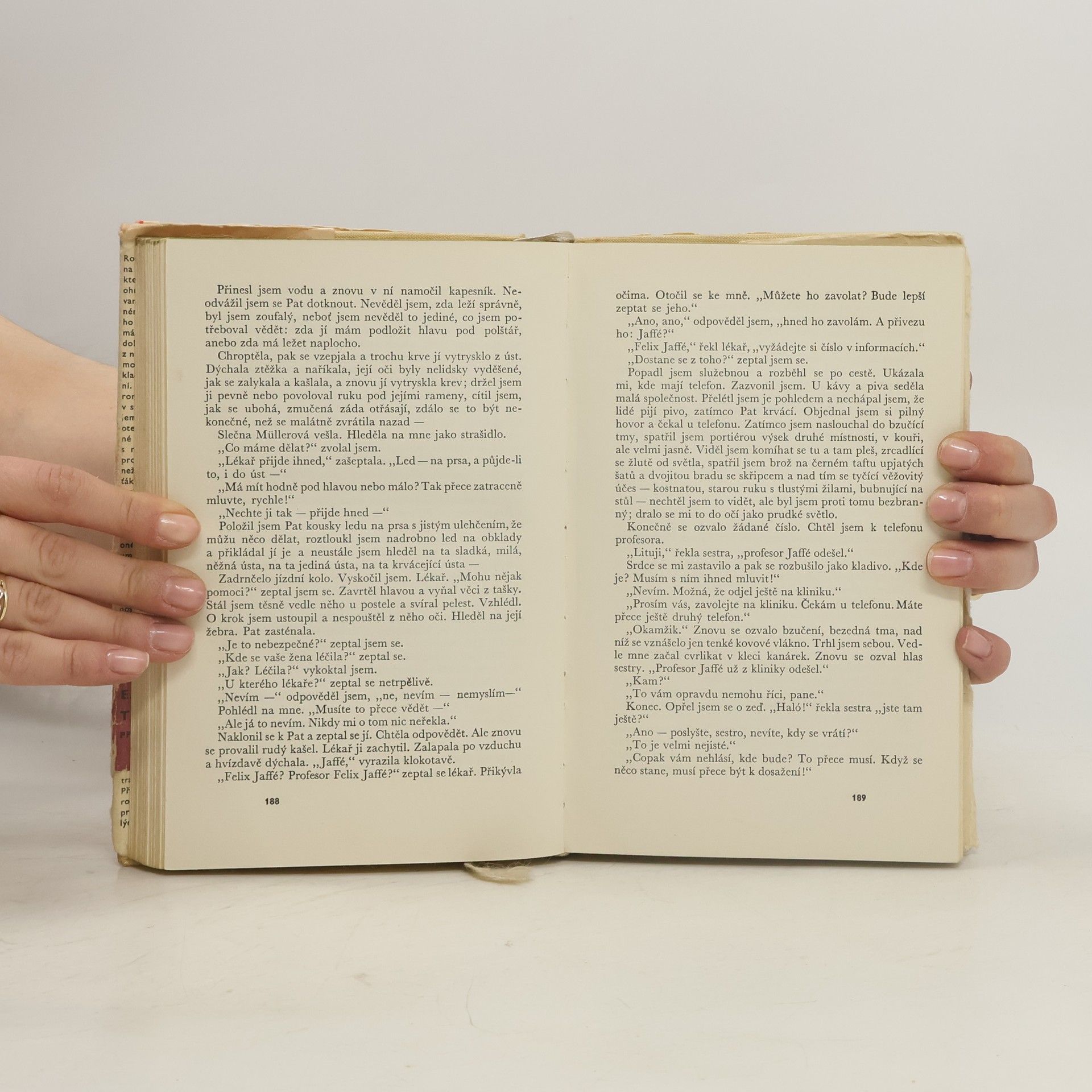 Erich Maria Remarque Tři kamarádi