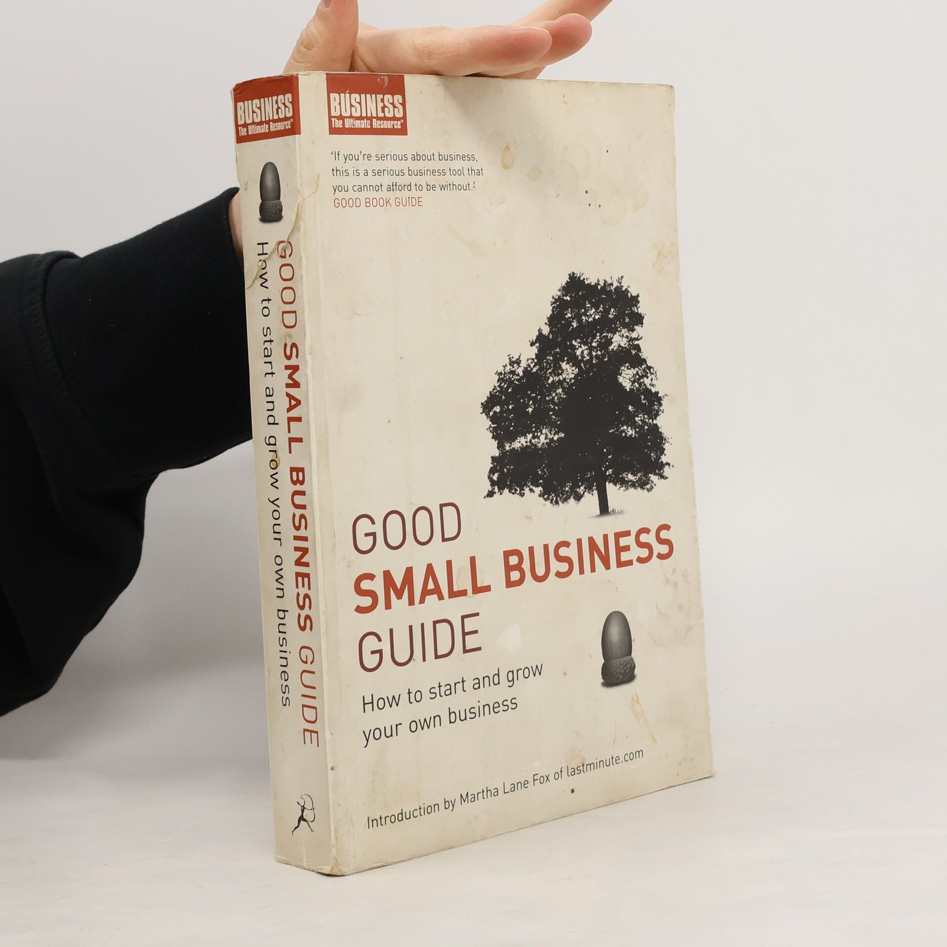 Kathy Rooney Good Small Business Guide