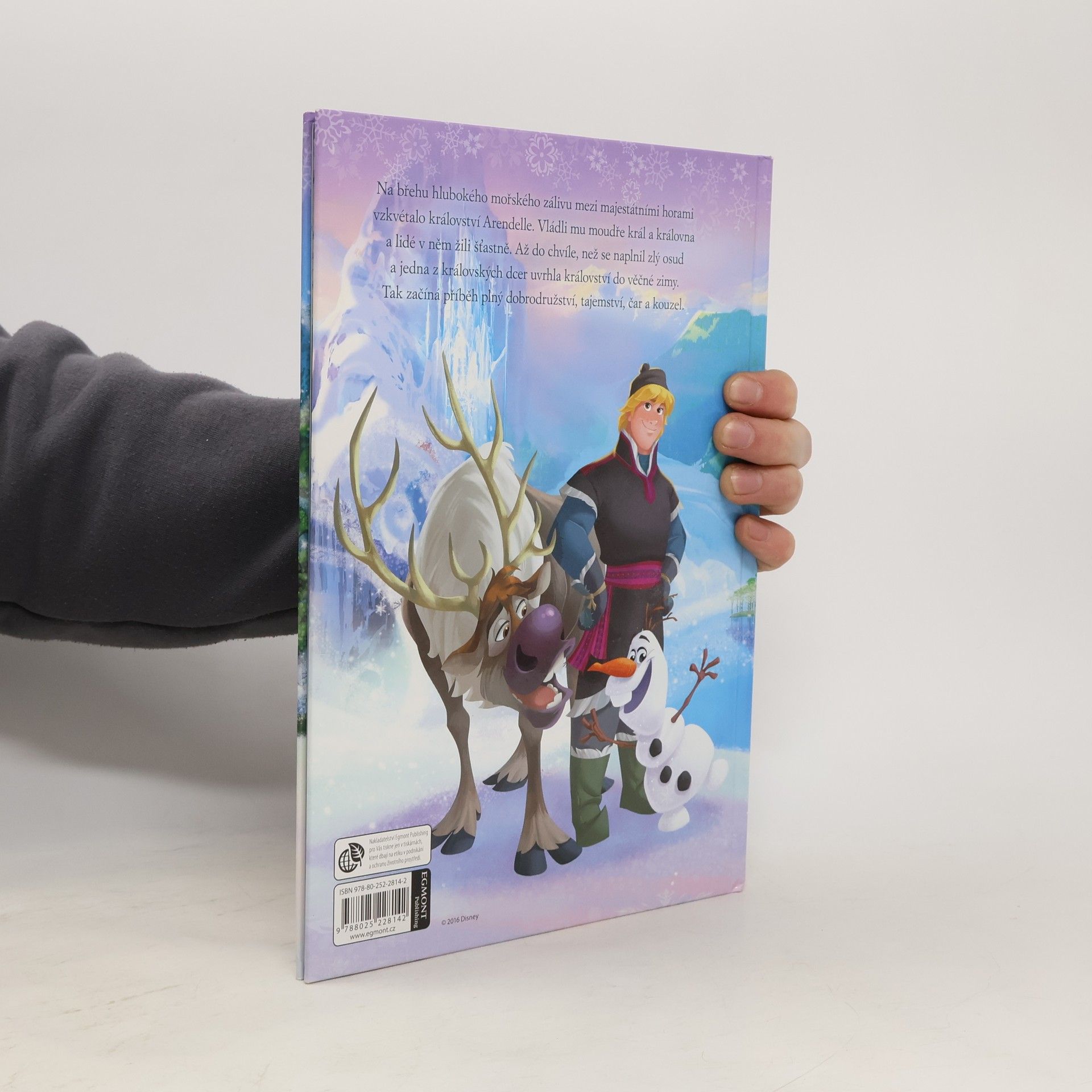 Autorenkollektiv Ledové království