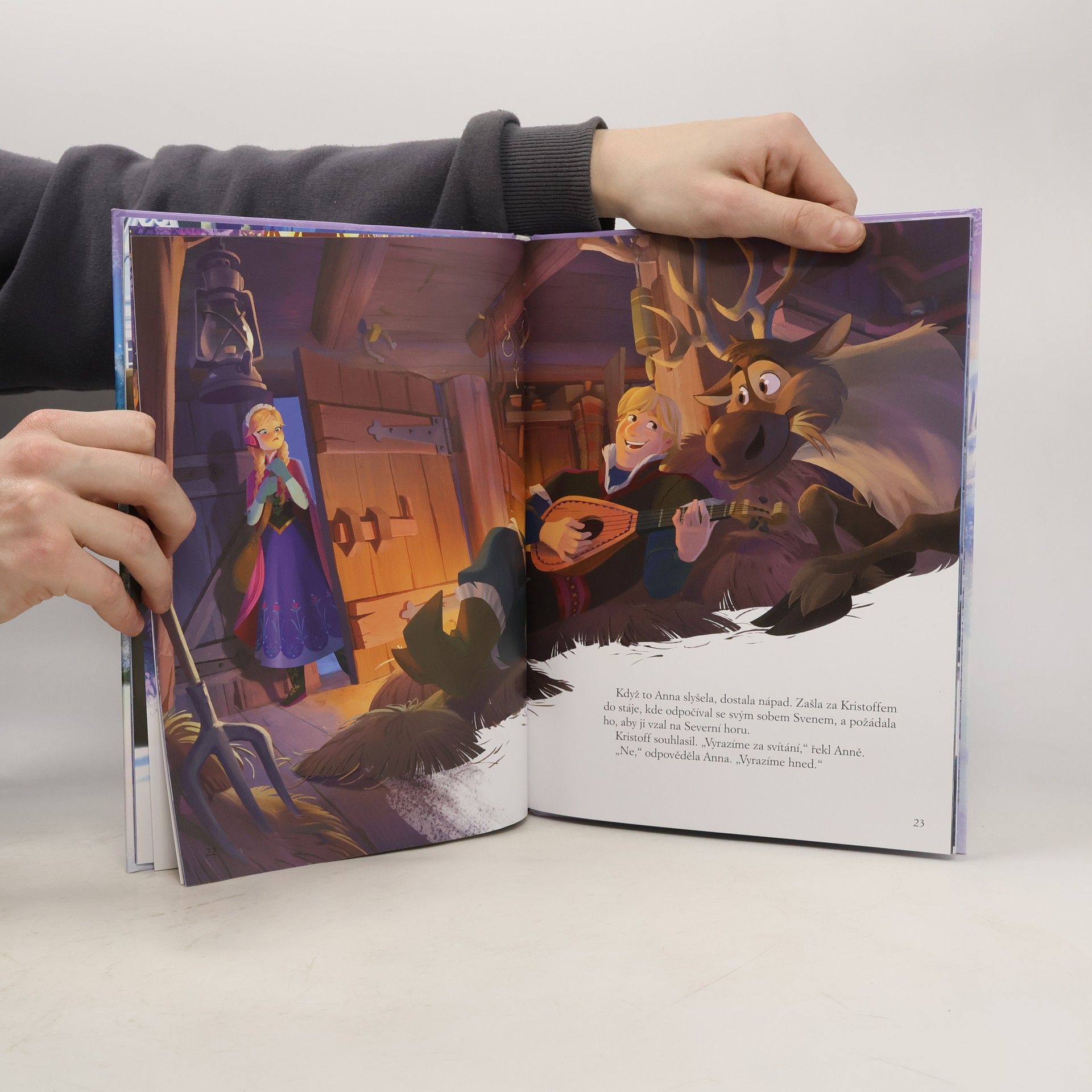 Autorenkollektiv Ledové království