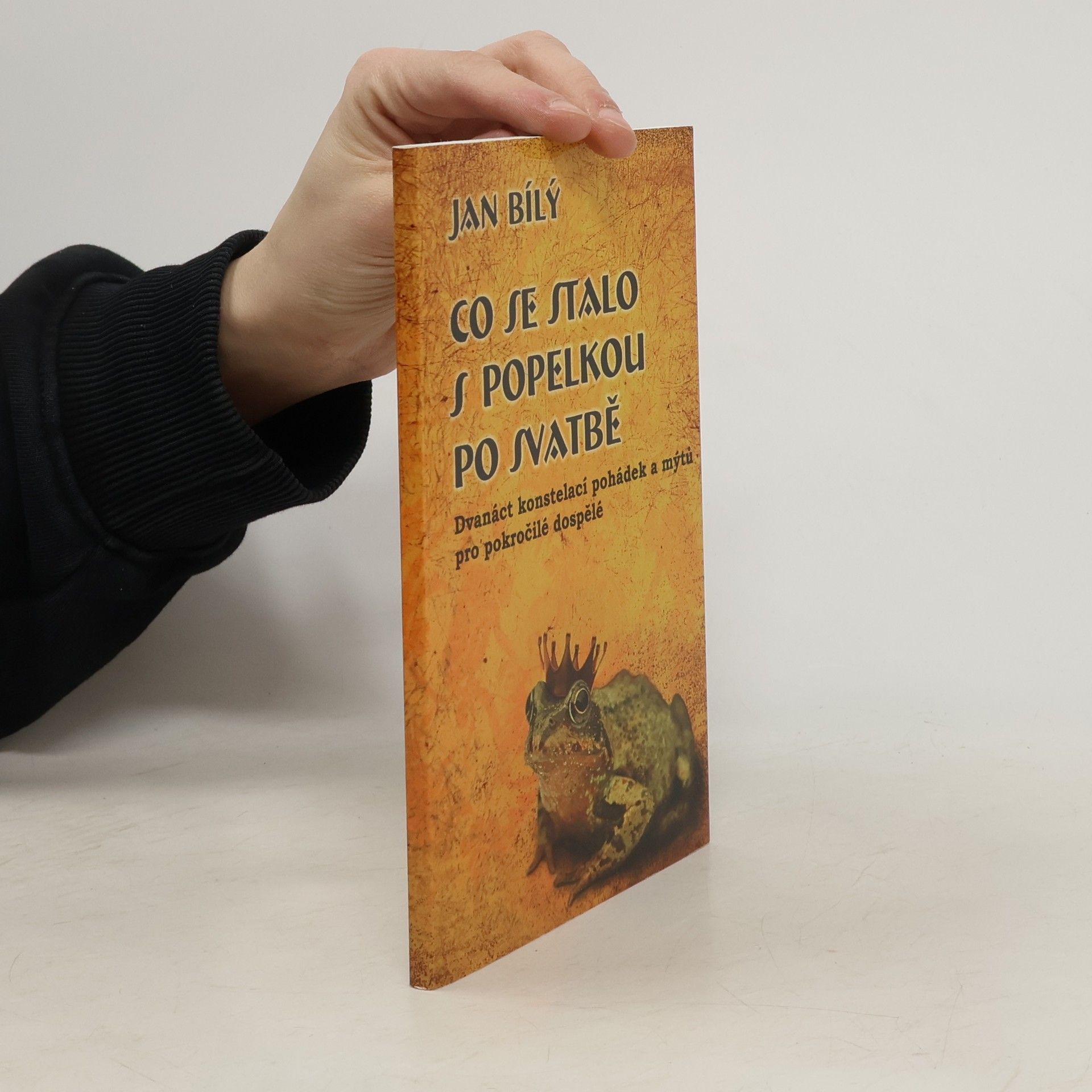 Jan Bílý Co se stalo s Popelkou po svatbě