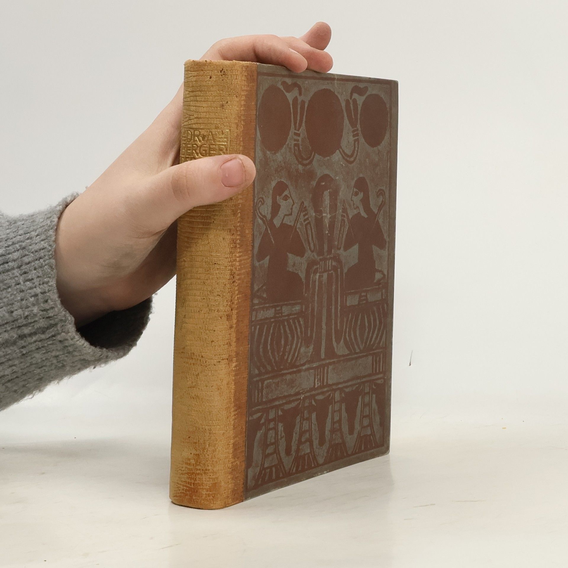 Arthur Asa Berger Der Heilige Nil