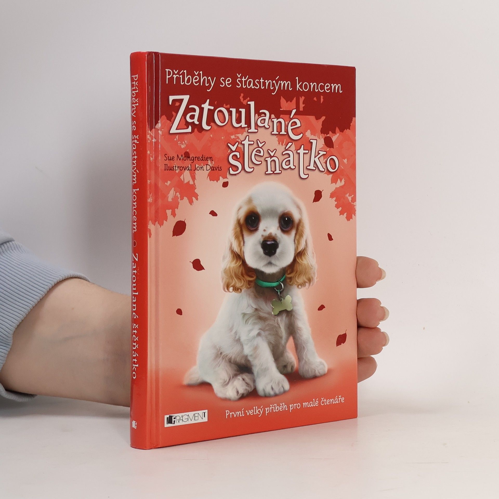 Lucy Diamond Zatoulané štěňátko