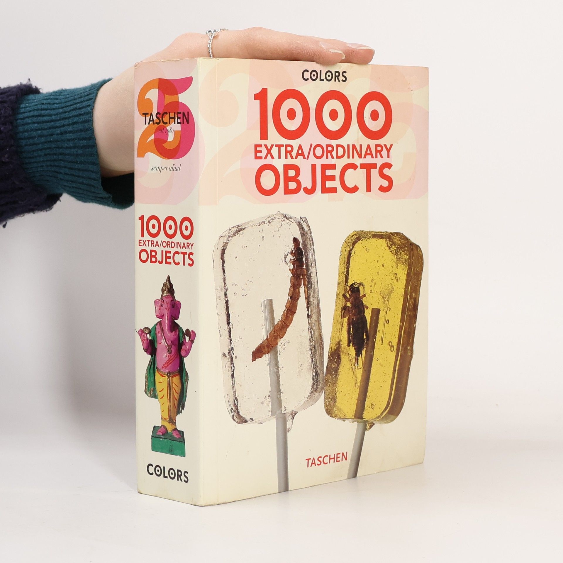 Carlos Mustienes 1000 extra/ordinary objects