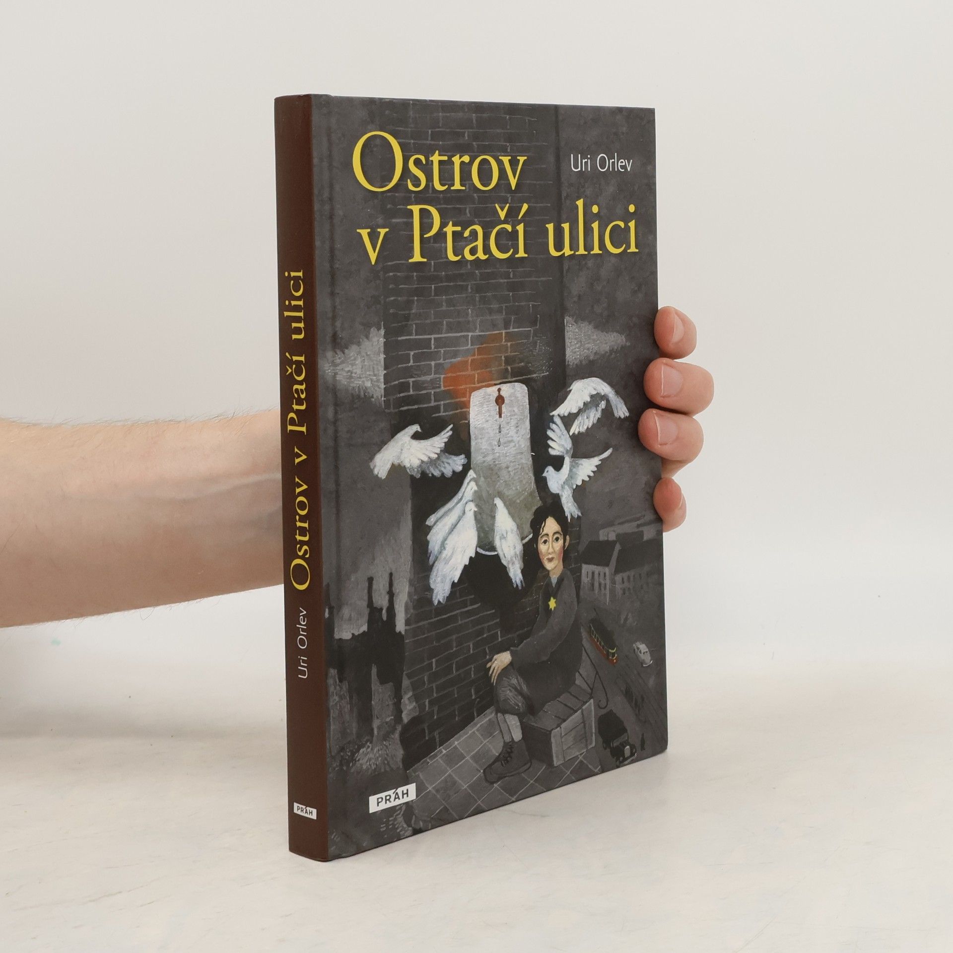 Uri Orlev Ostrov v Ptačí ulici