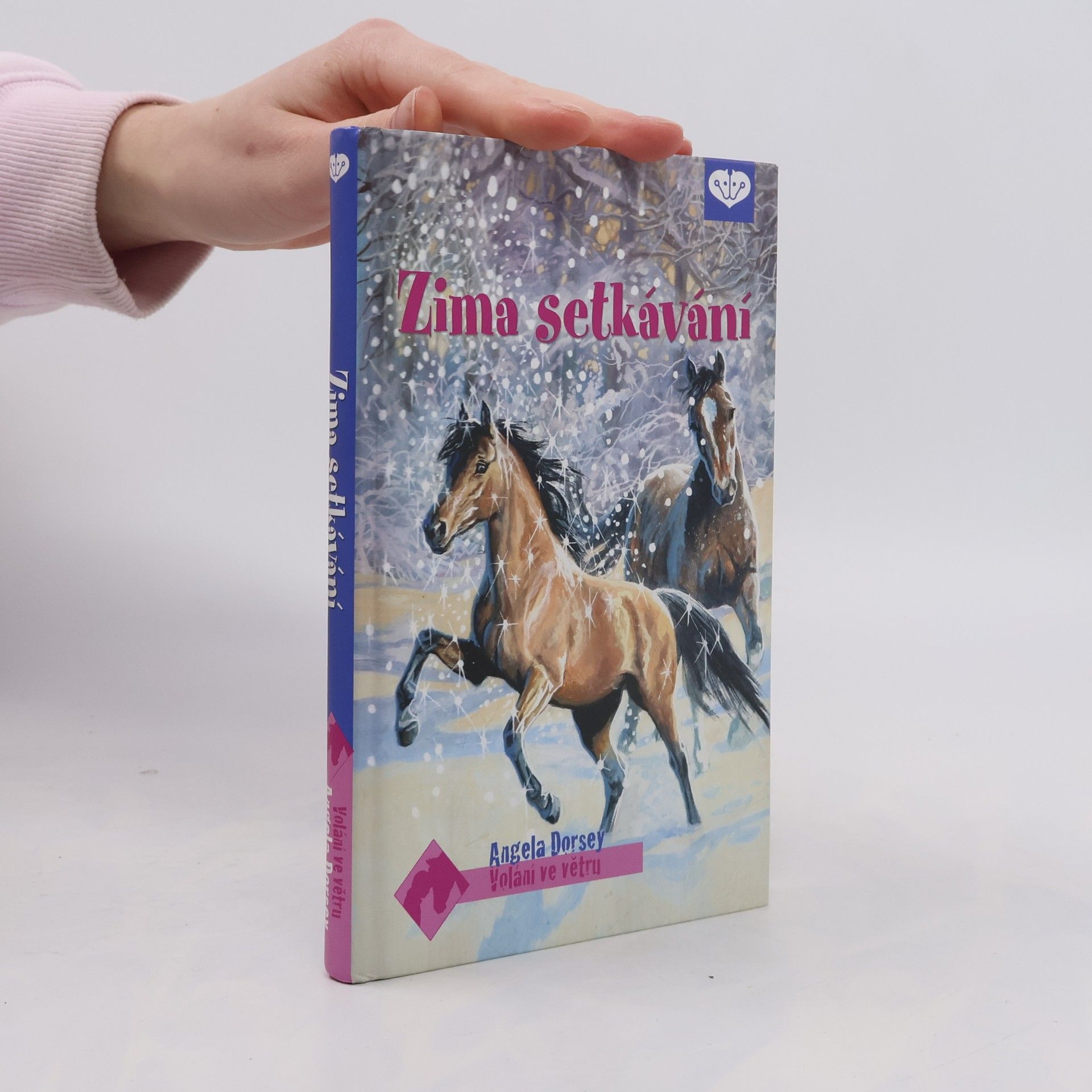 Angela Dorsey Volání ve větru 9. Zima setkávání