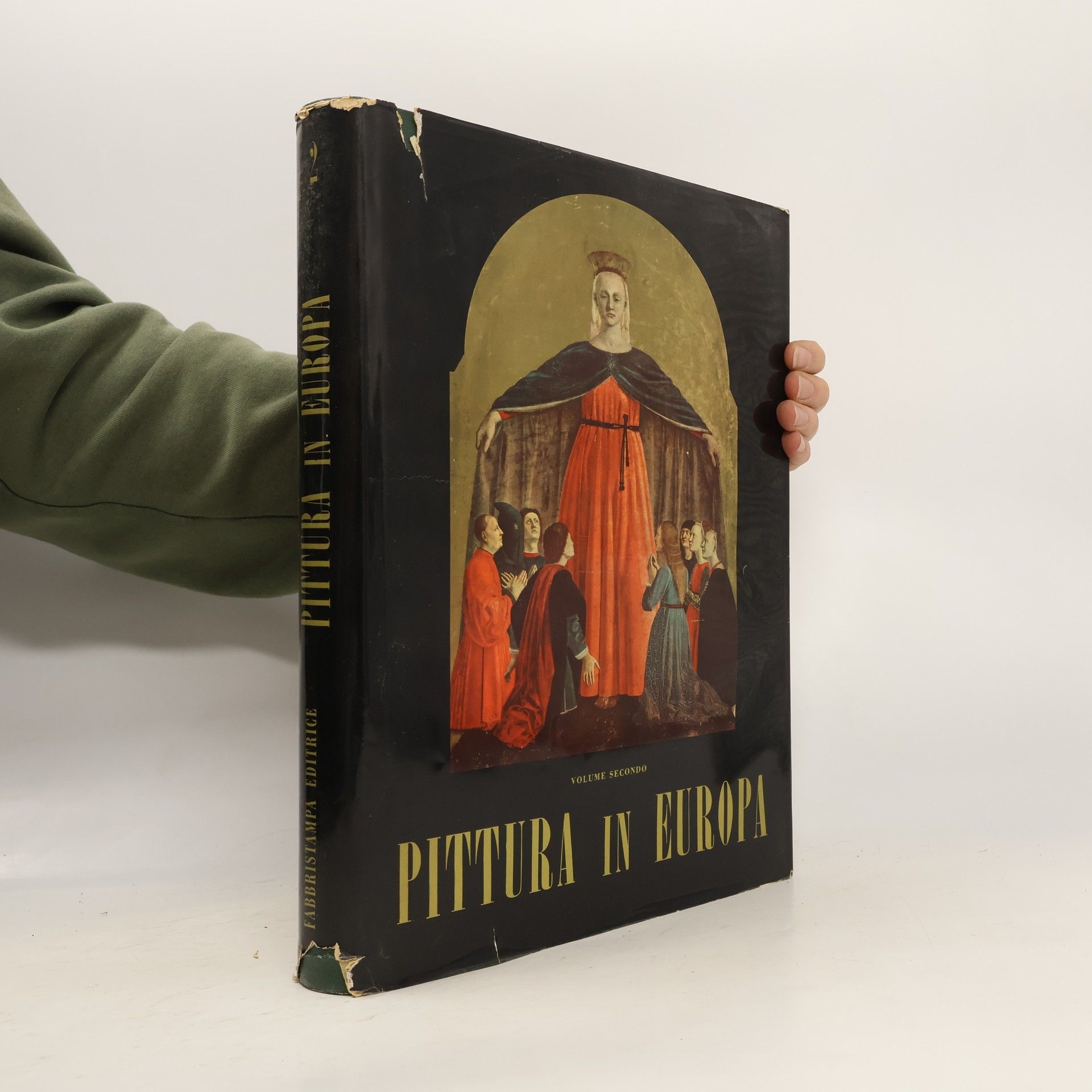 Kolektív autorov Pittura in Europa 2