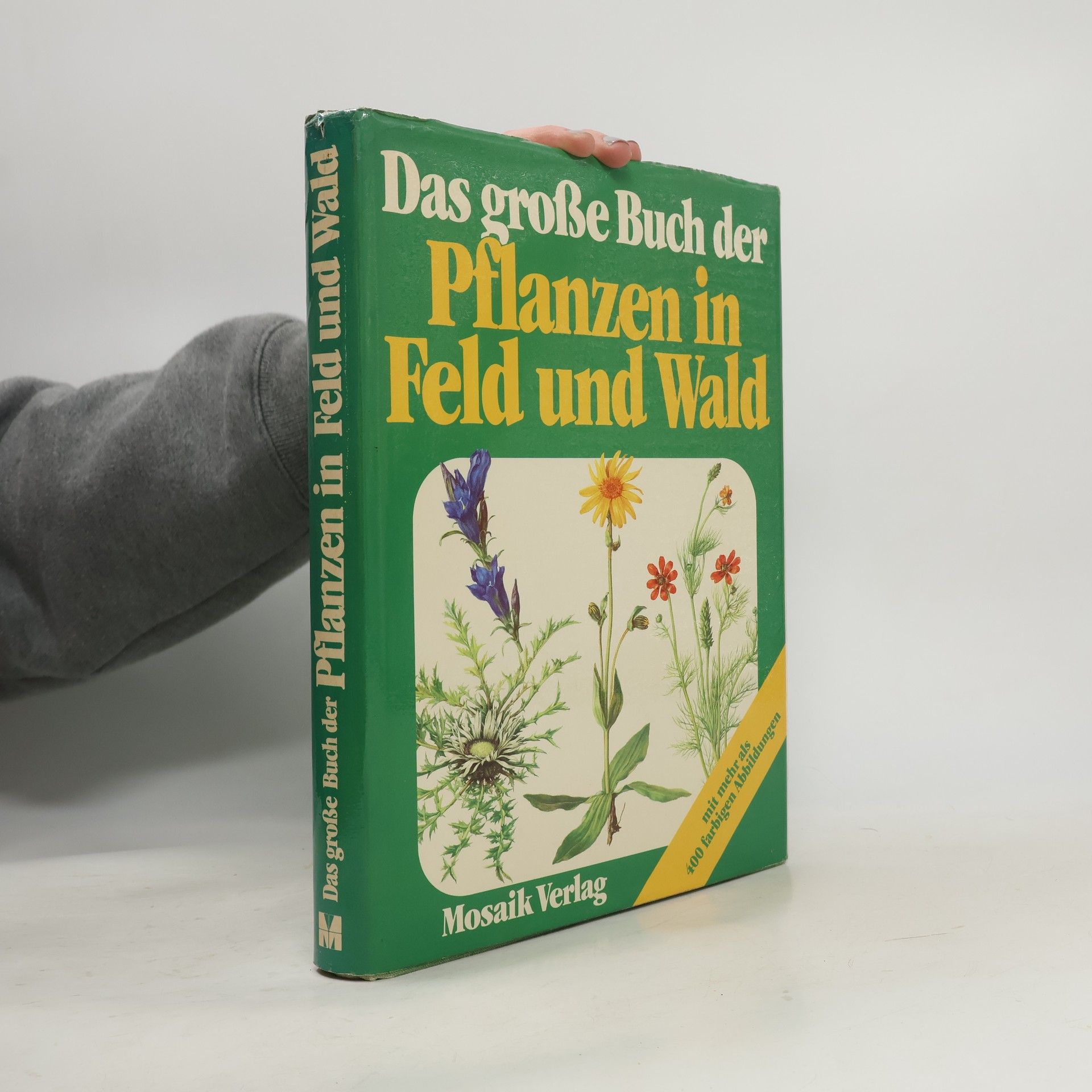 Das grosse Buch der Pflanzen in Feld und Wald