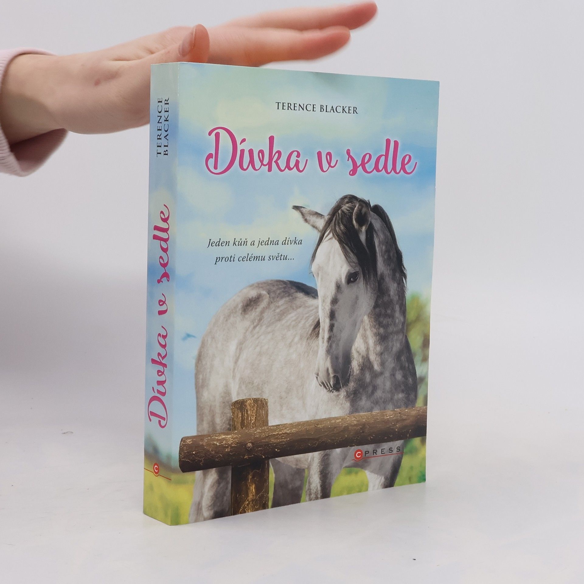 Terence Blacker Dívka v sedle