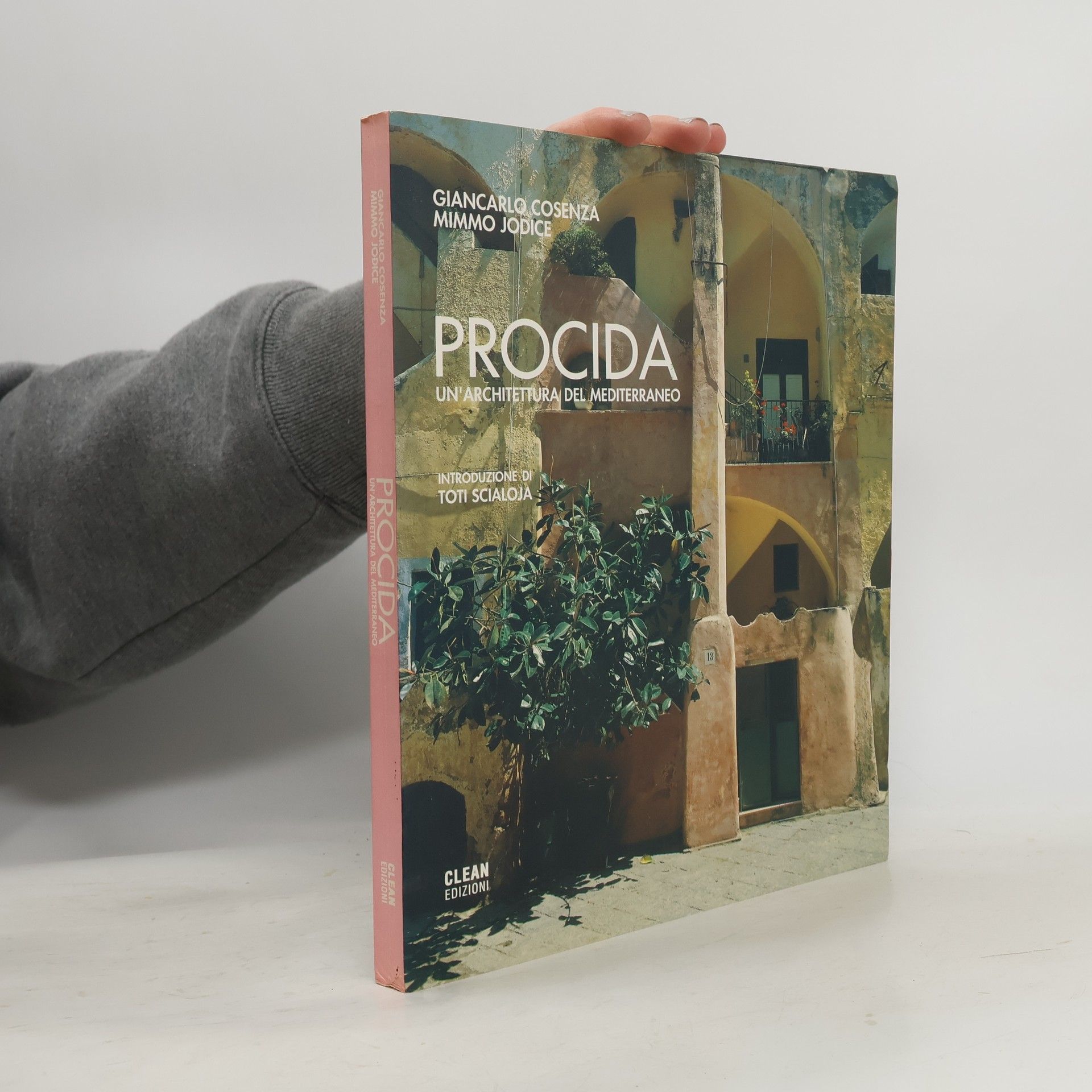 Giancarlo Cosenza Procida. Un'architettura del Mediterraneo