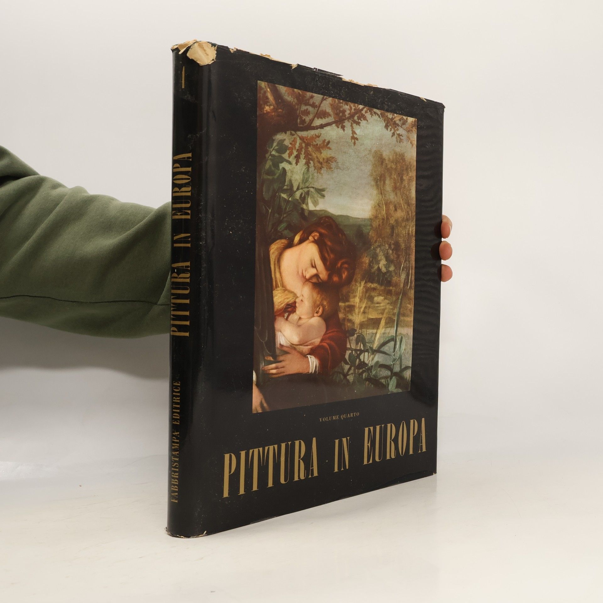 Autorenkollektiv Pittura in Europa 4