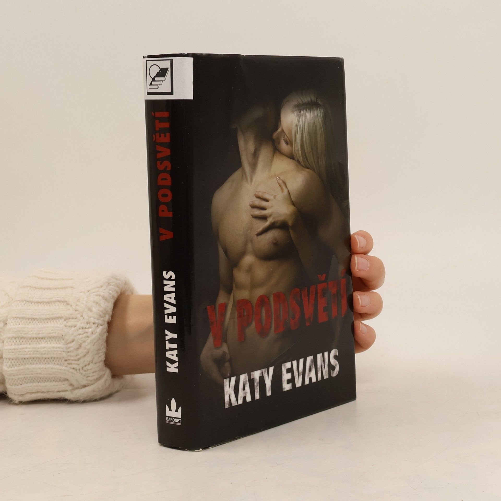 Katy Evans V podsvětí