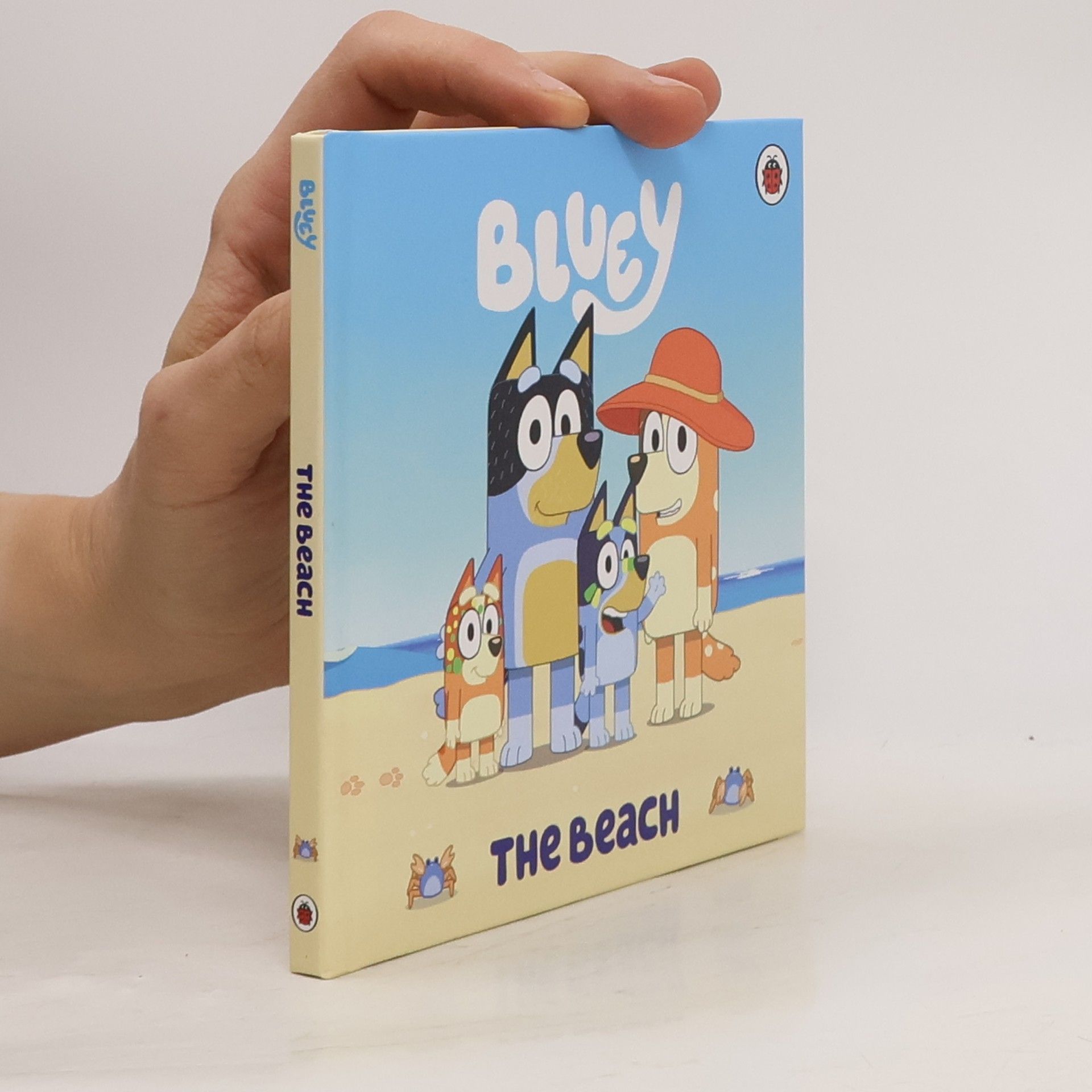 Kolektiv autorů Bluey. The Beach