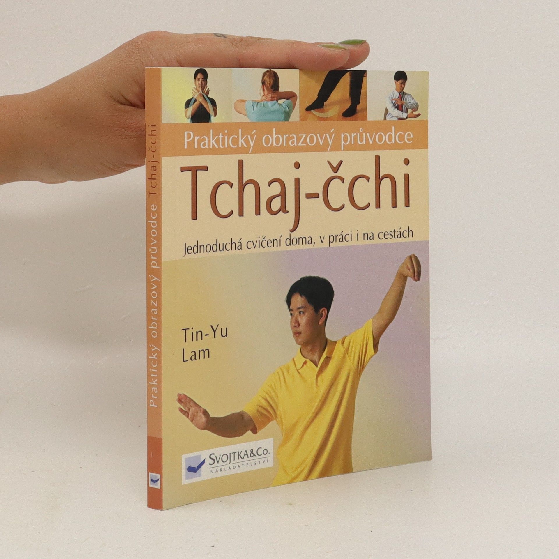 Tin Yu Lam Tchaj čchi - praktický obrazový průvodce