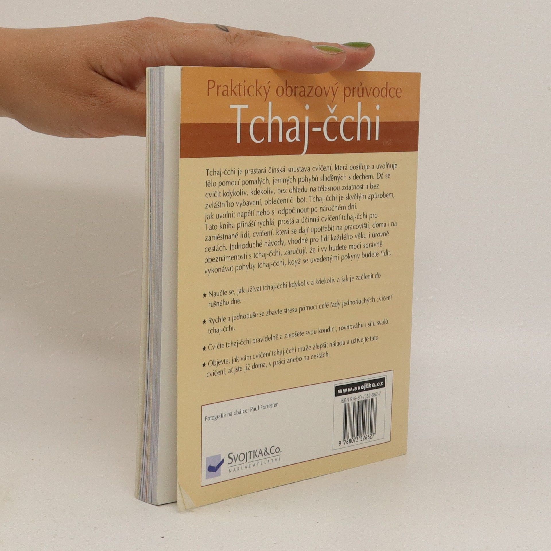Tin Yu Lam Tchaj čchi - praktický obrazový průvodce