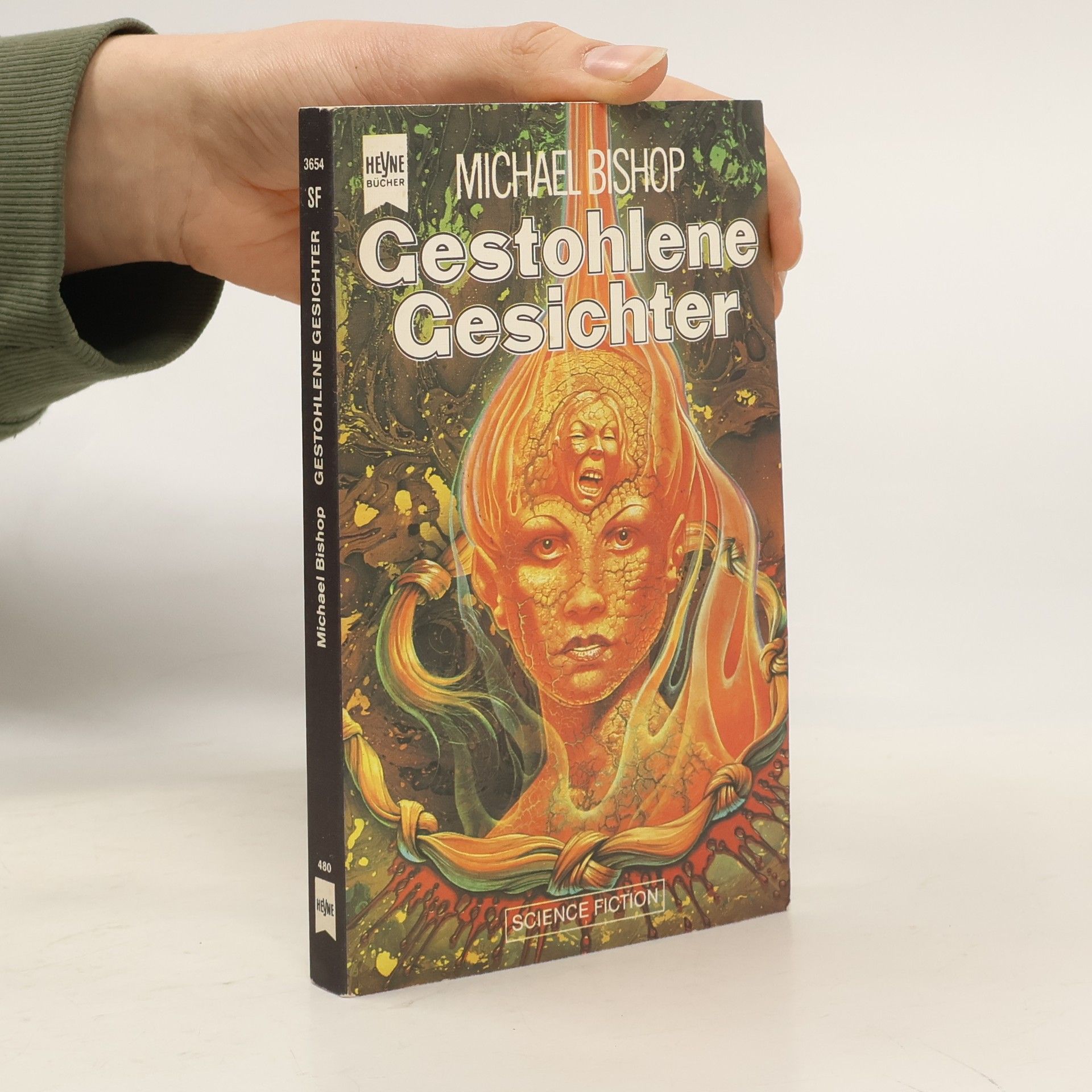 Michael Bishop Gestohlene Gesichter