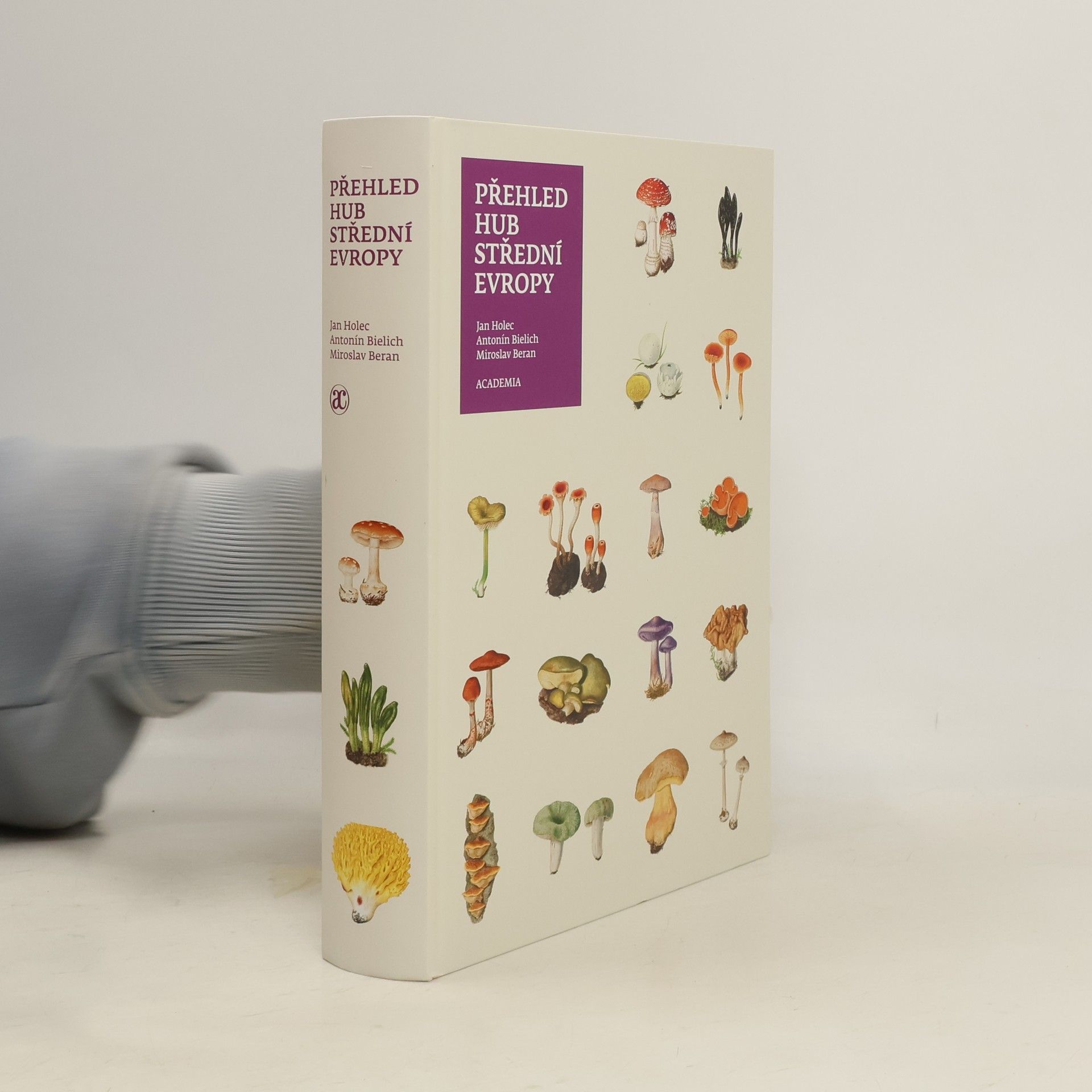 Jan Holec Přehled hub střední Evropy
