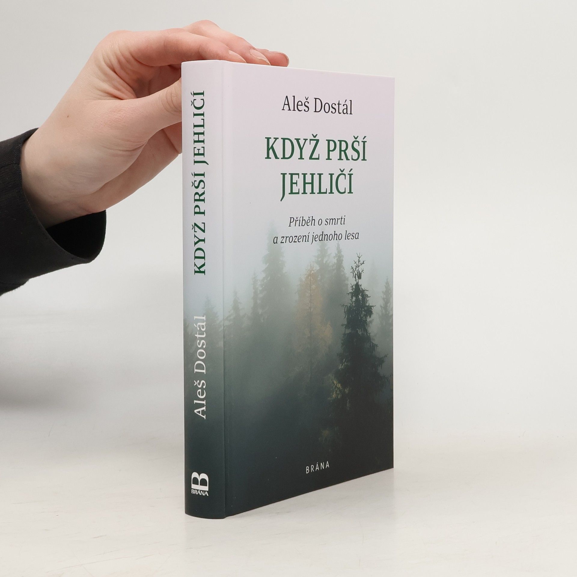 Když prší jehličí : příběh o smrti a zrození jednoho lesa