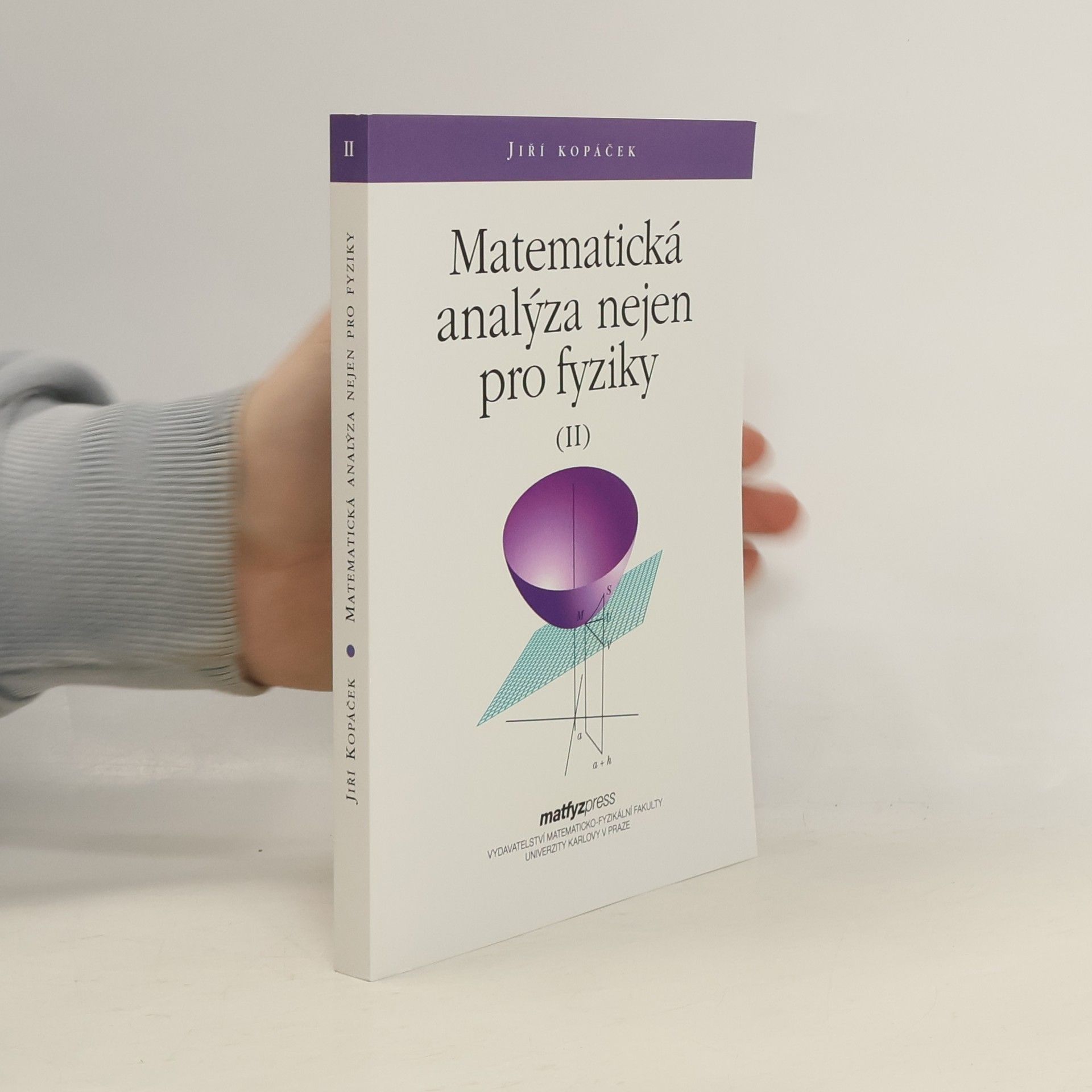 Matematická analýza nejen pro fyziky (II)