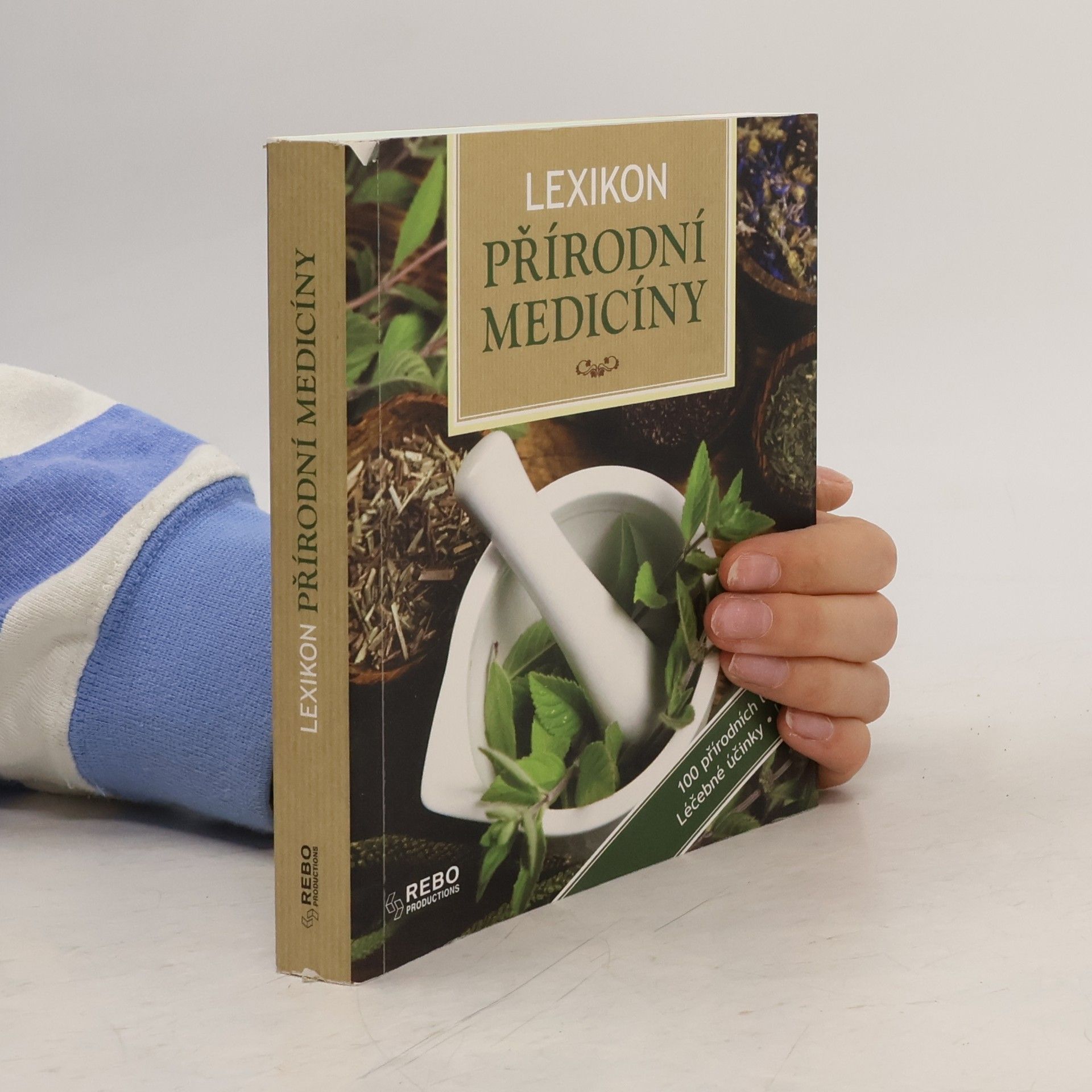 Anne Iburg Lexikon přírodní medicíny