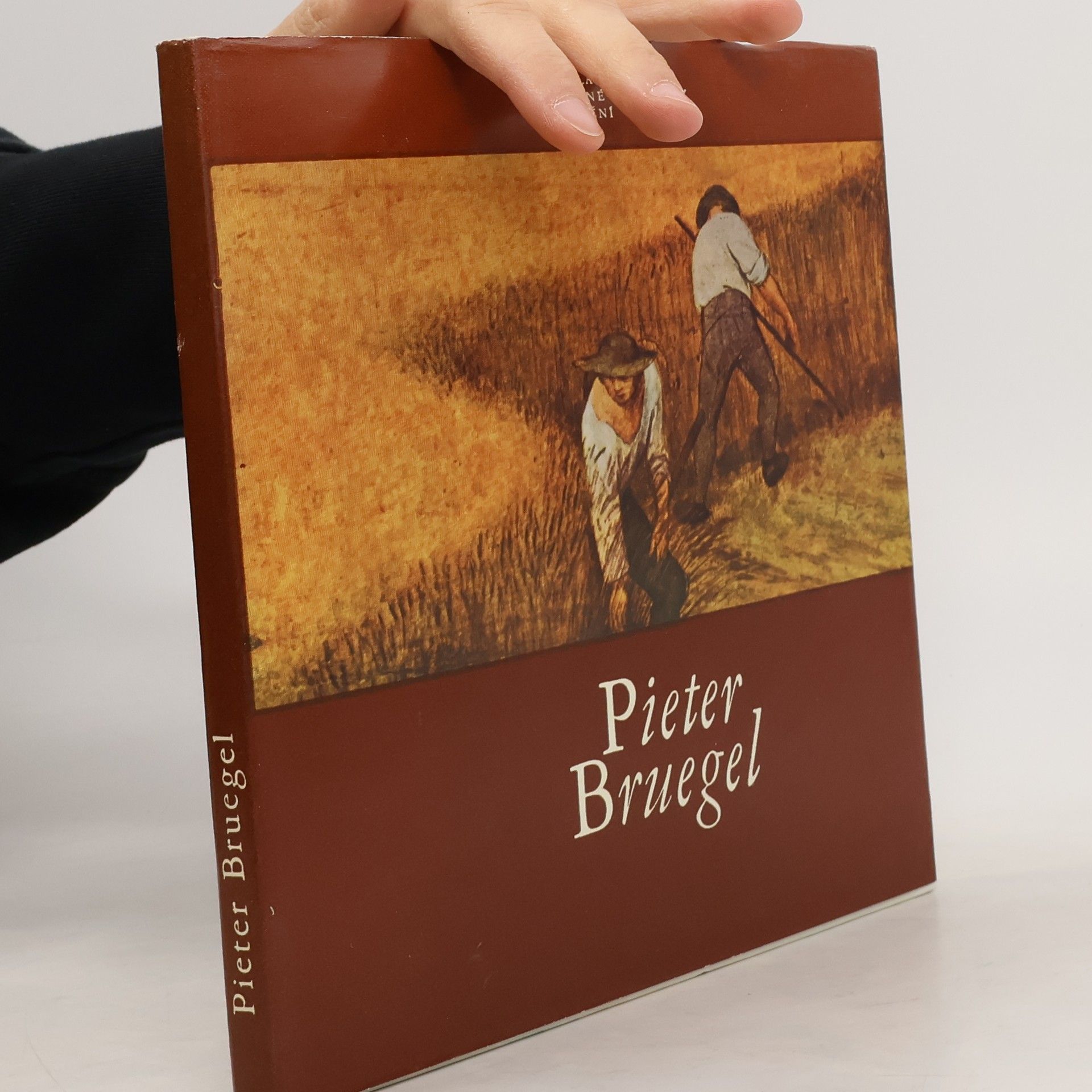 Jaromír Neumann Pieter Bruegel