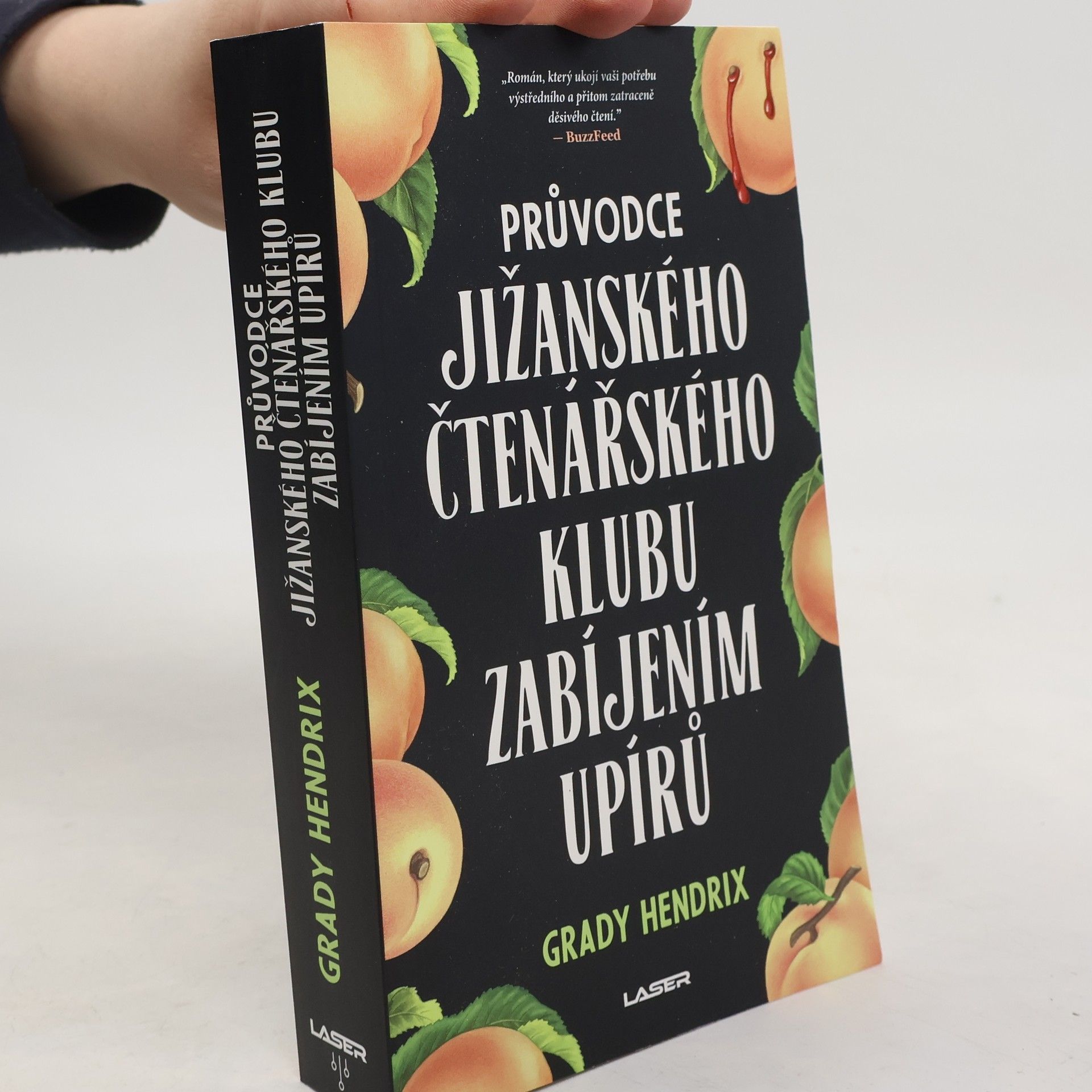 Grady Hendrix Průvodce jižanského čtenářského klubu zabíjením upírů