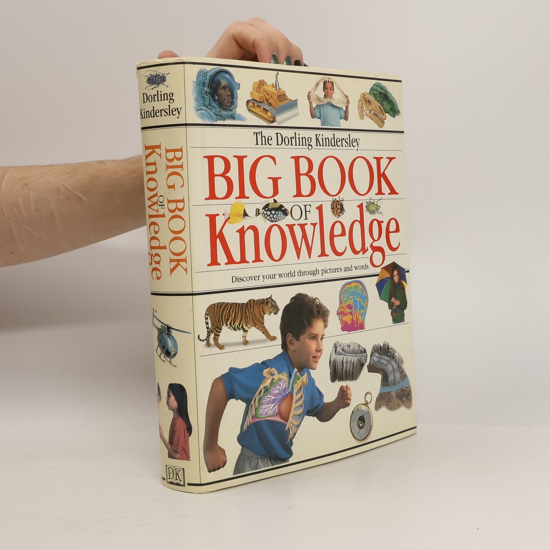 Sarah Phillips The Dorling Kindersley Big Book of Knowledge