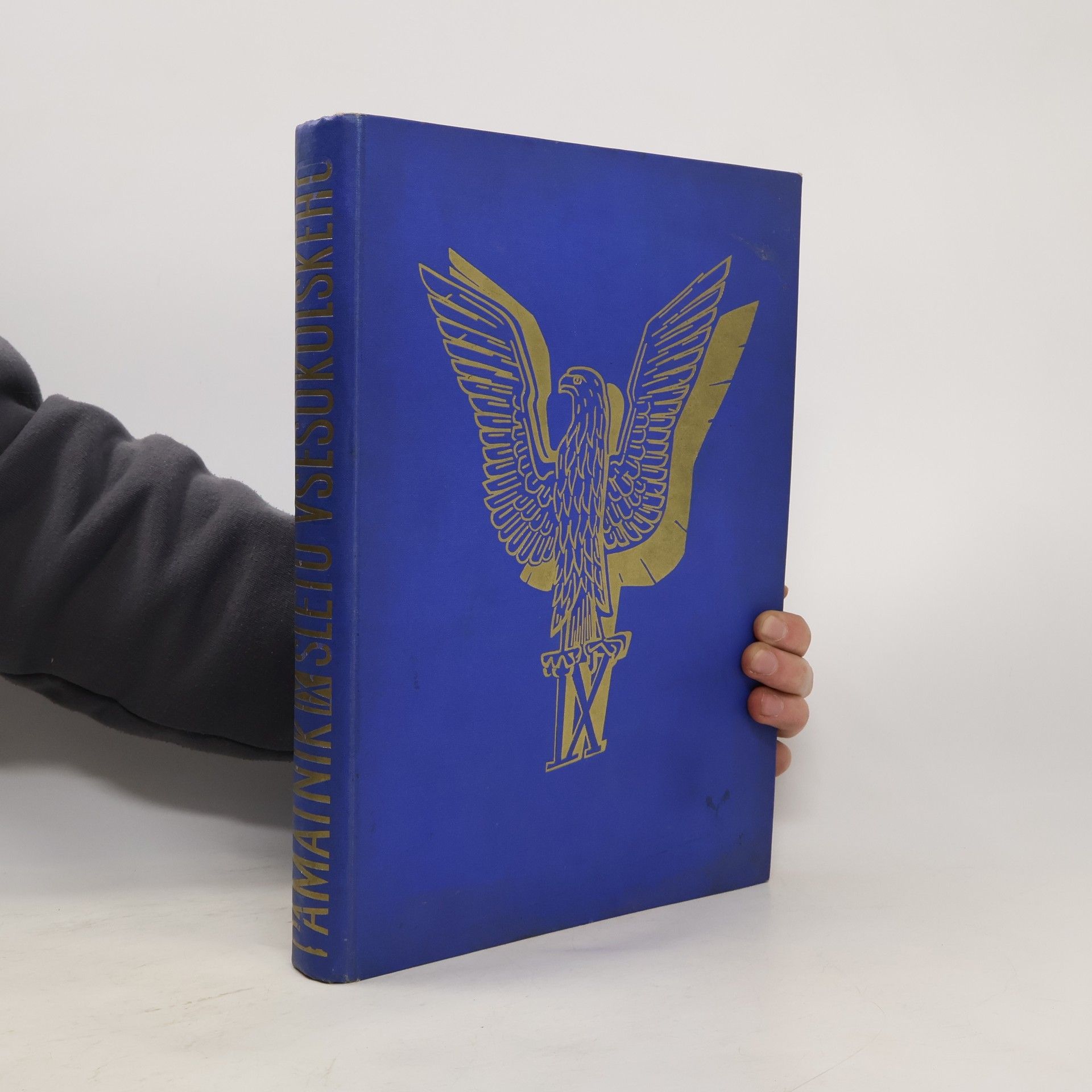 Vojtěch Minářík Památník IX. sletu všesokolského