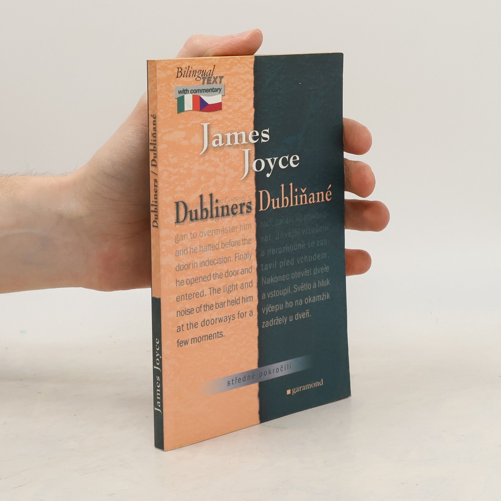 James Joyce Dubliners. Dubliňané