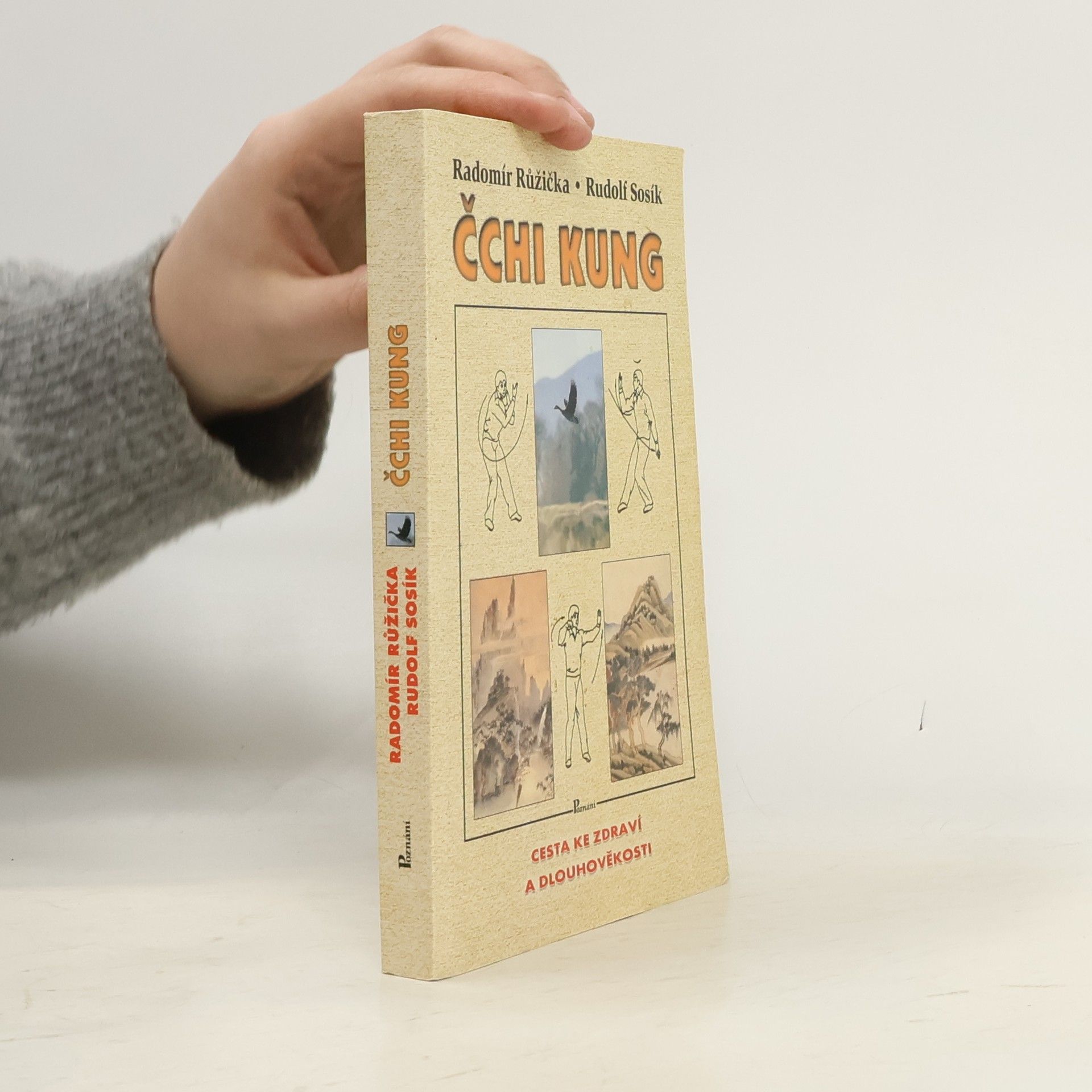 Radomír Růžička Čchi kung : cesta ke zdraví a dlouhověkosti
