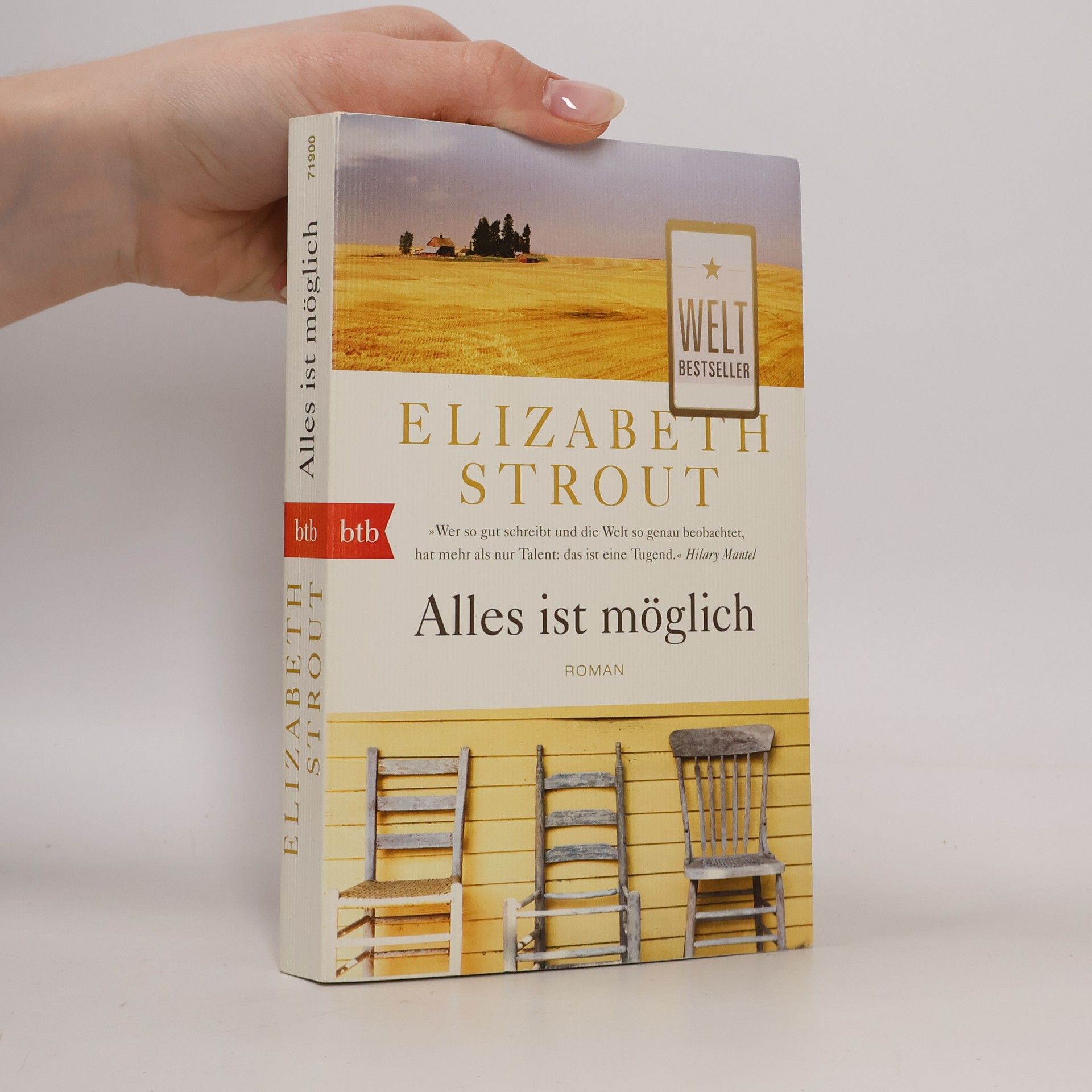 Elizabeth Strout Alles ist möglich