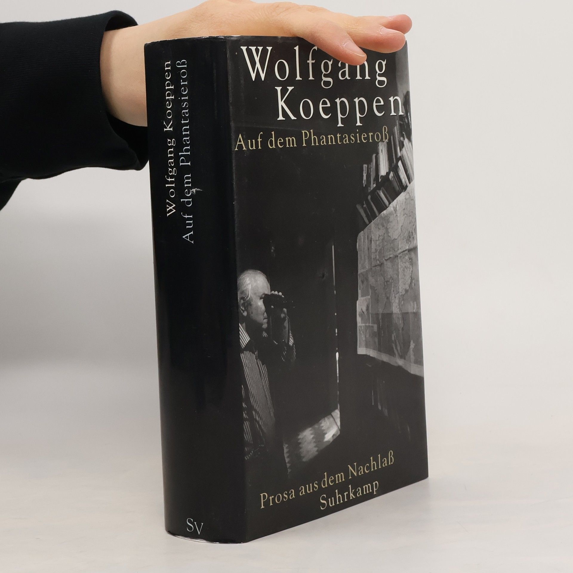 Wolfgang Koeppen Auf dem Phantasieross