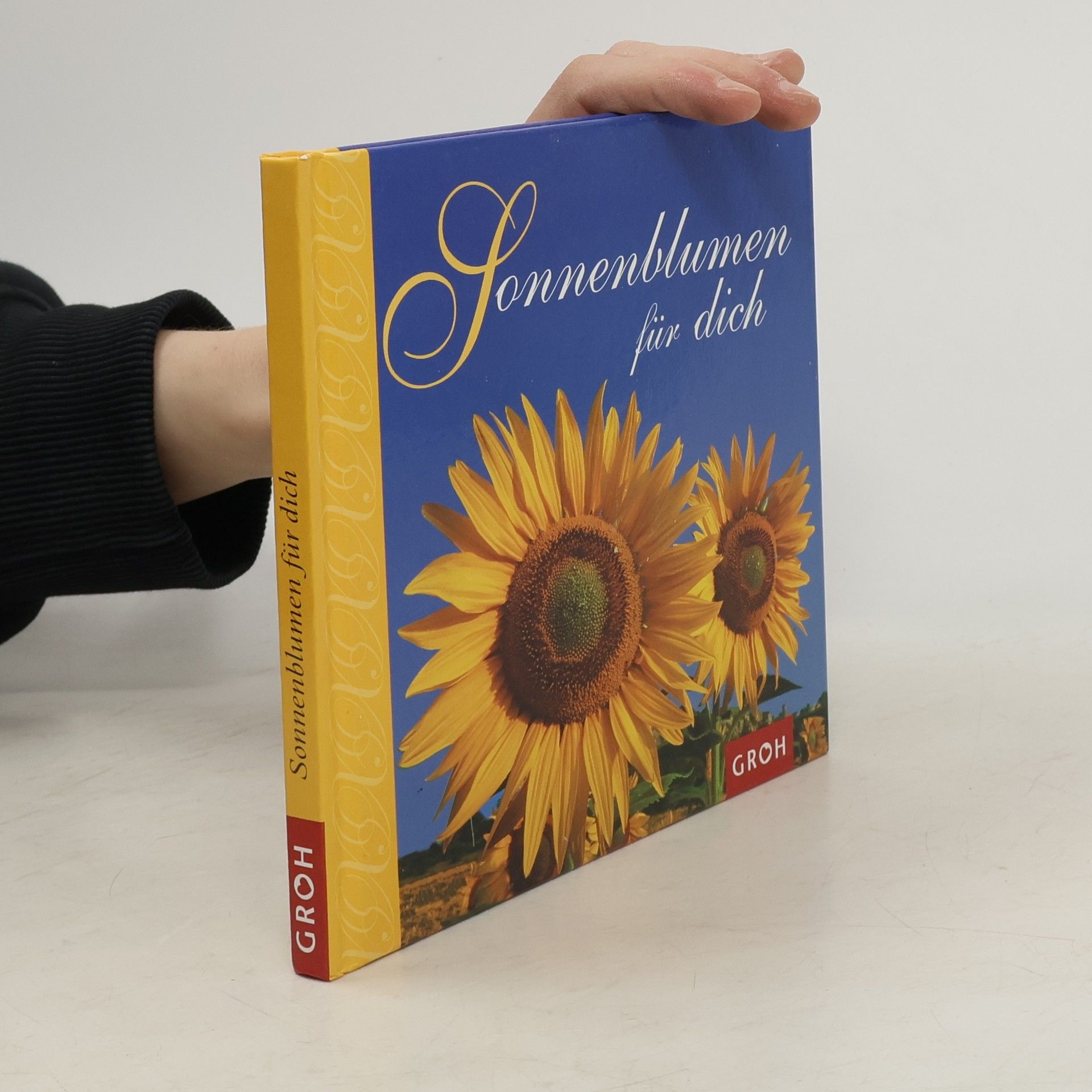 Dorothée Bleker Sonnenblumen für dich