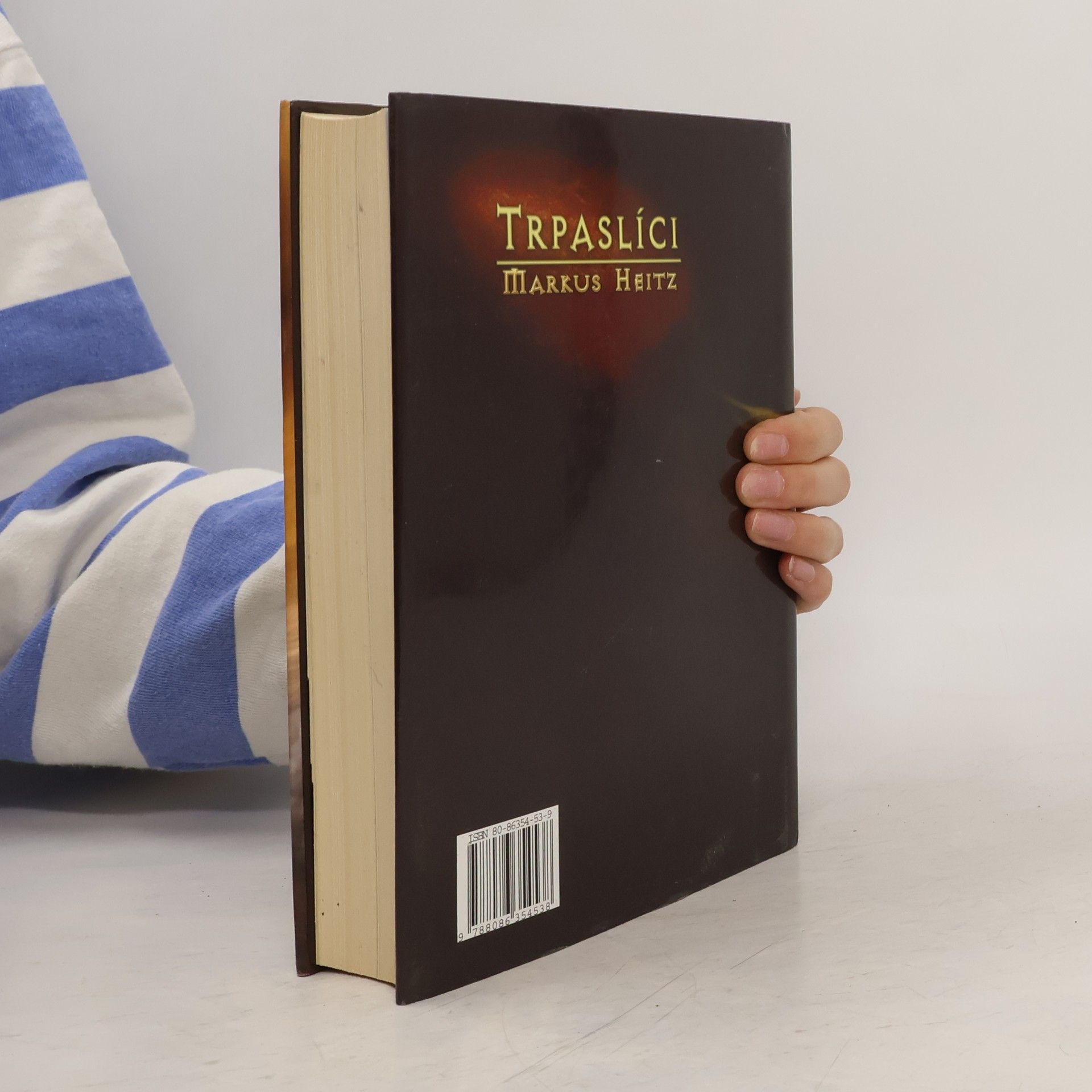 Markus Heitz Trpaslíci