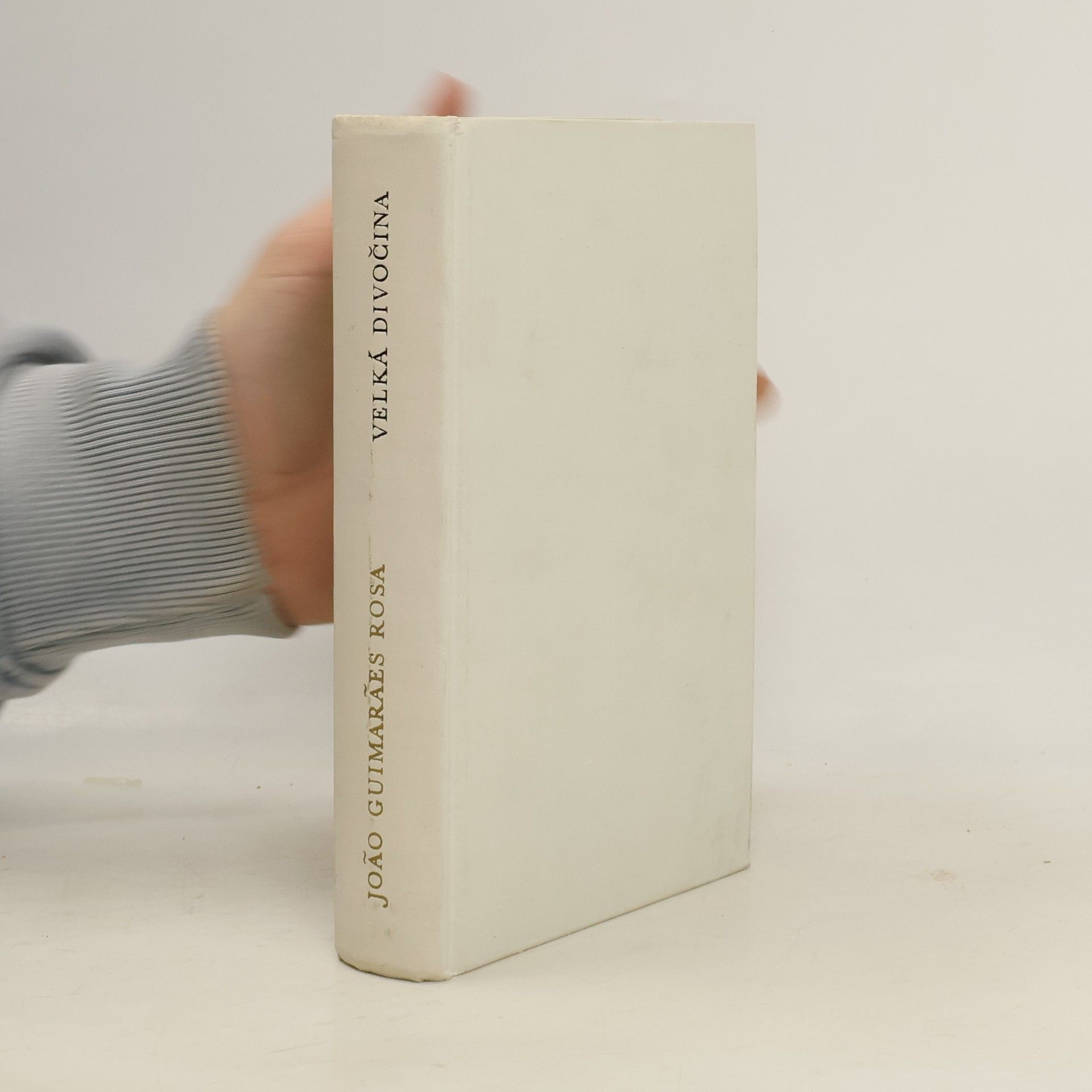 Guimarães Rosa Velká divočina