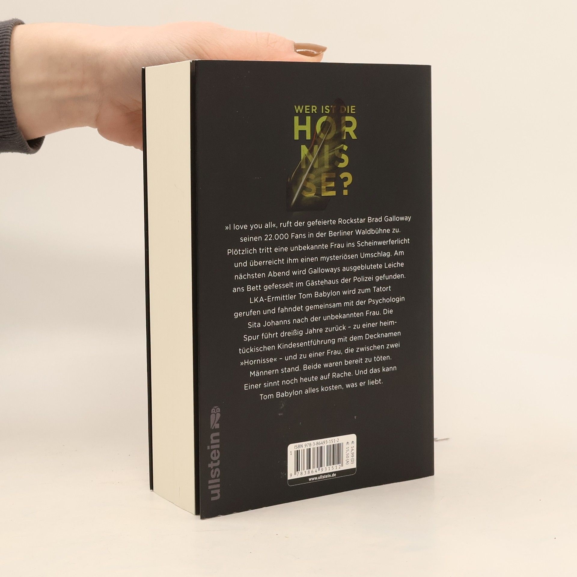 Marc Raabe Die Hornisse