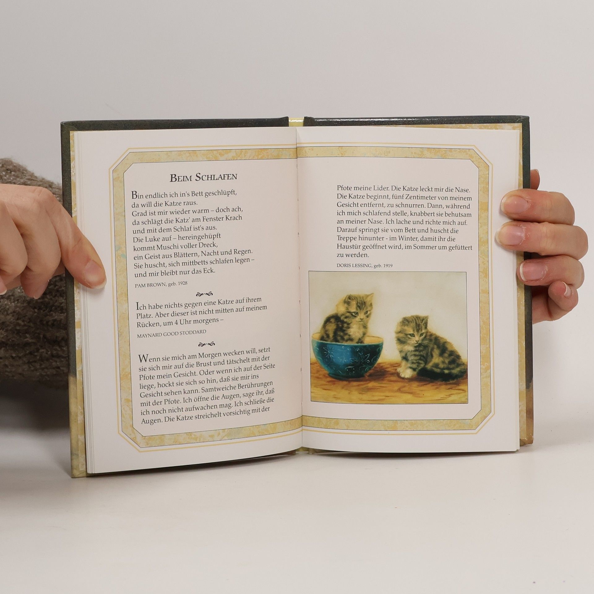 Helen Exley Katzen. Huldigung in Worten und Gemälden. Geschenkbuch